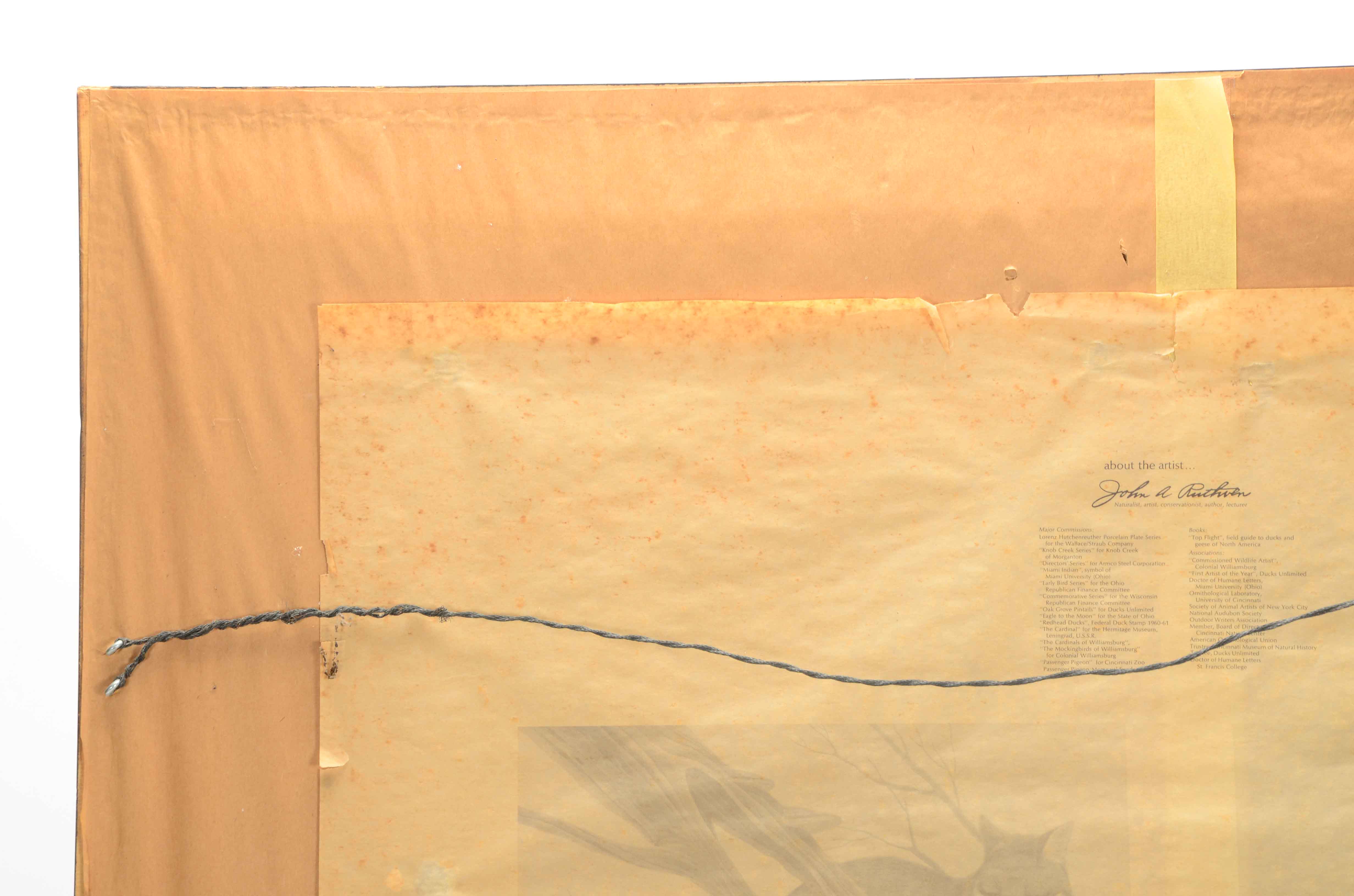 John Ruthven Signed Limited Edition Offset Lithograph "Gray Fox Family"