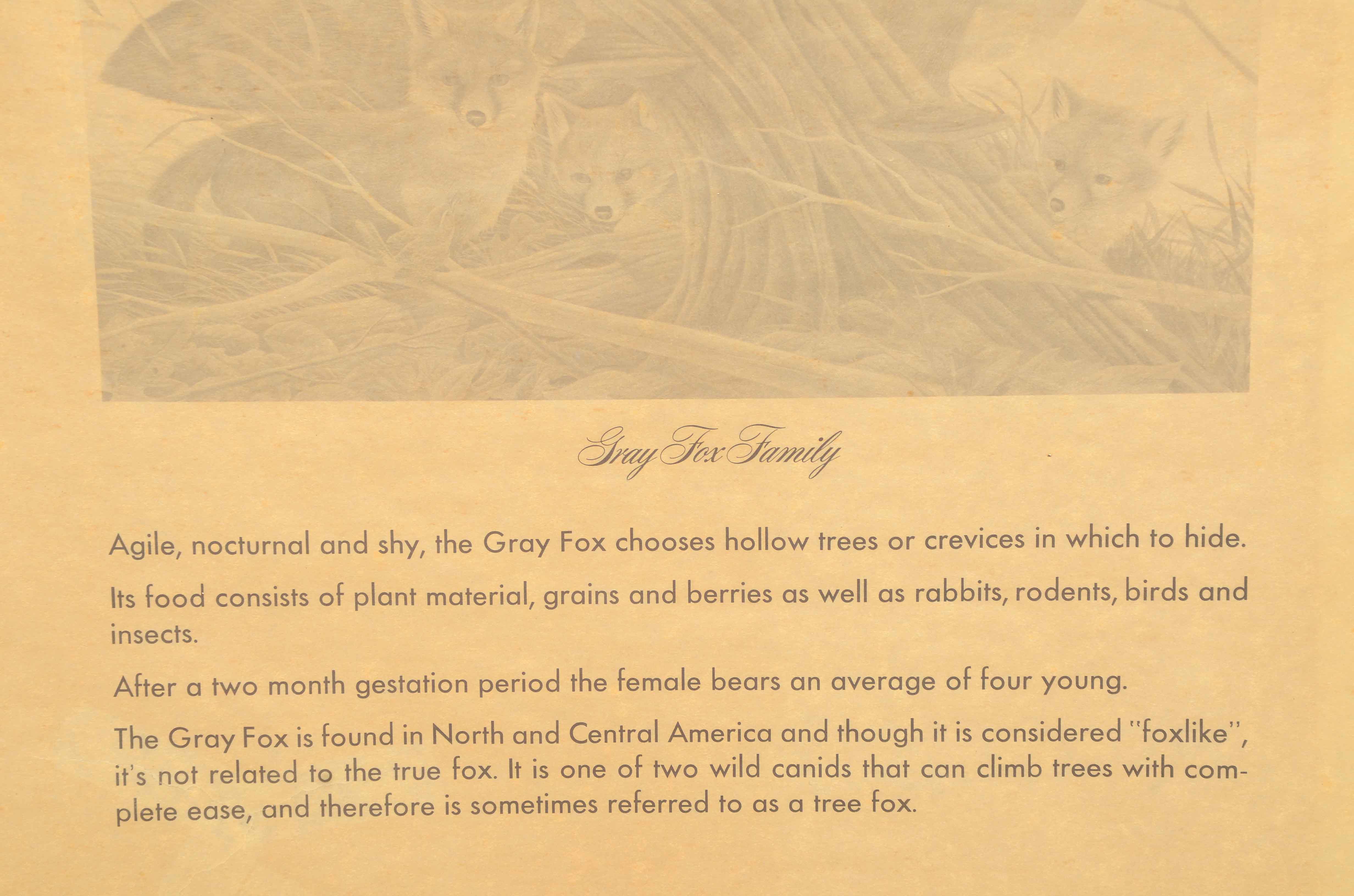 John Ruthven Signed Limited Edition Offset Lithograph "Gray Fox Family"