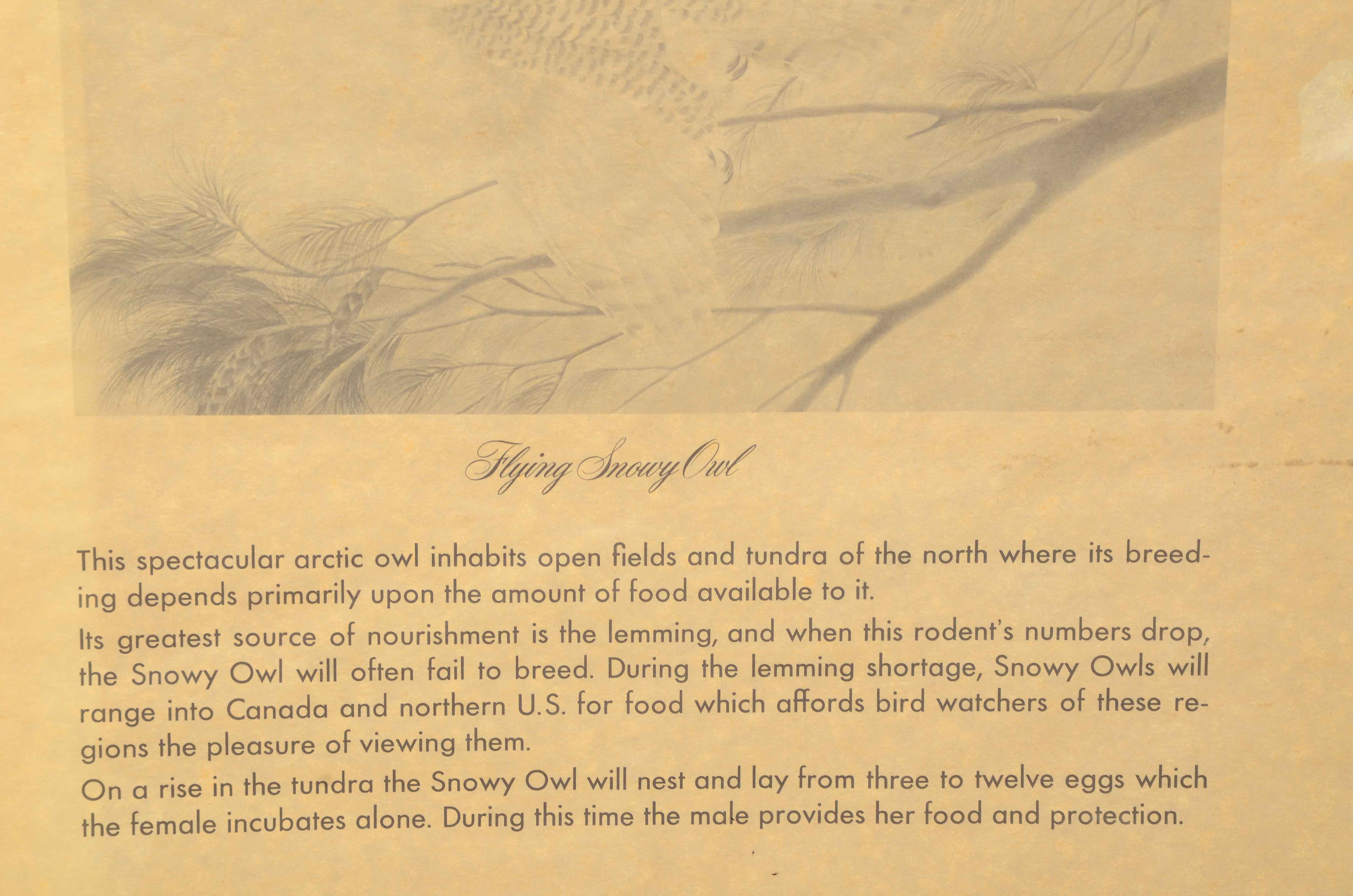 John Ruthven Signed Limited Edition Offset Lithograph "Gray Fox Family"