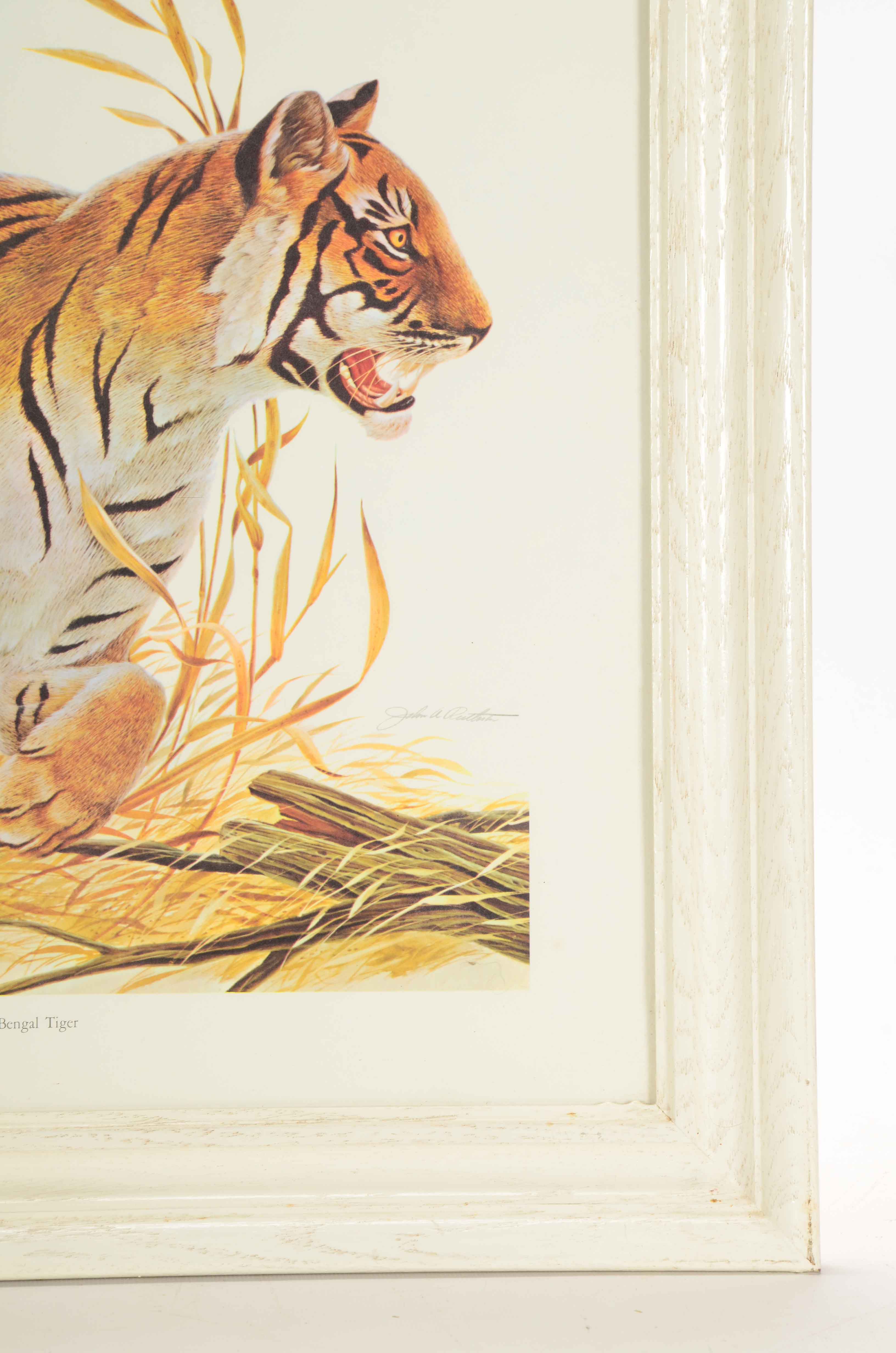 Offset Lithograph on Paper after John Ruthven "Bengal Tiger"