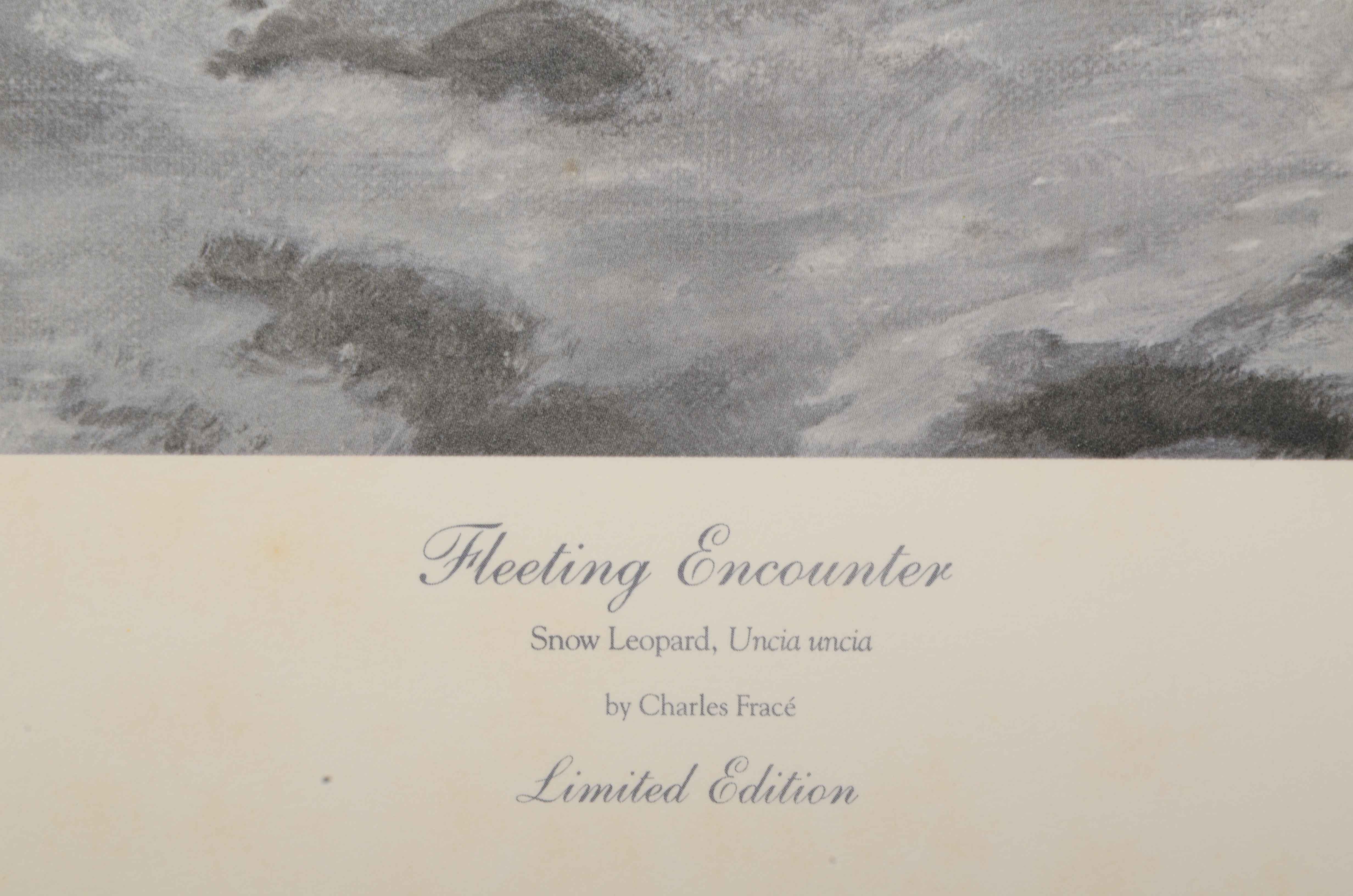 Charles Fracé Signed Limited Edition Offset Lithograph "Fleeting Encounter"
