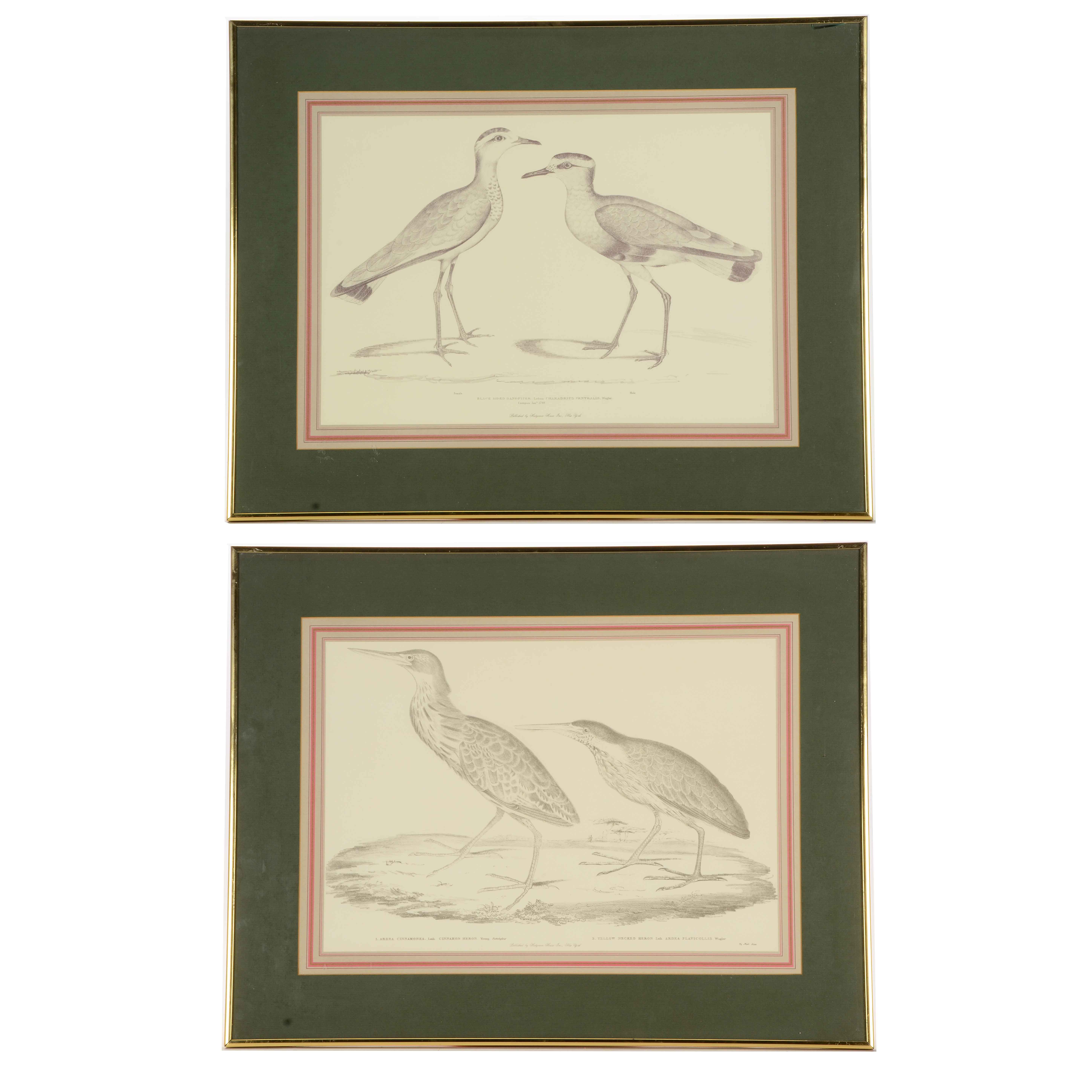 Pair of Offset Lithograph Prints of Birds
