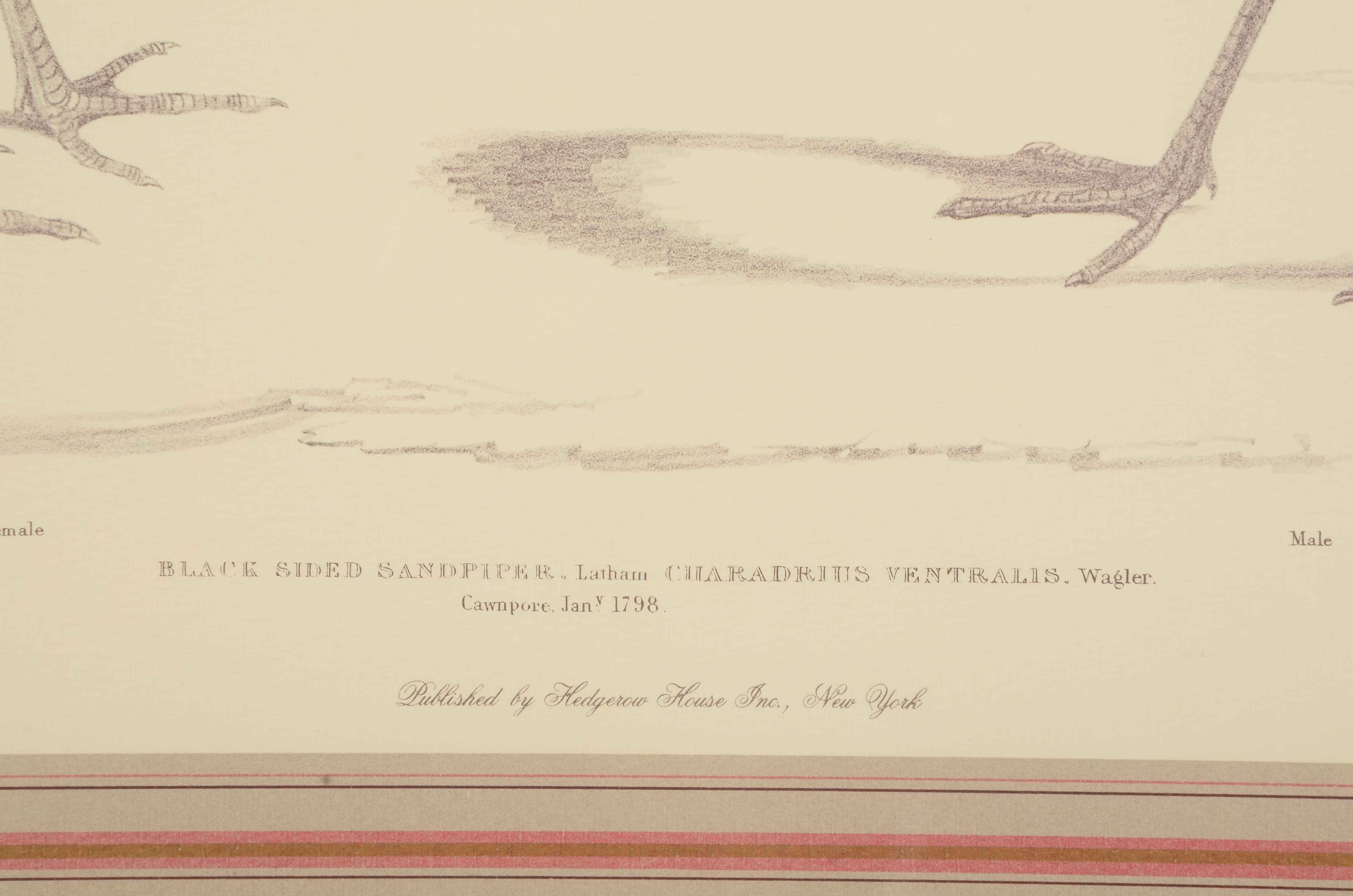 Pair of Offset Lithograph Prints of Birds