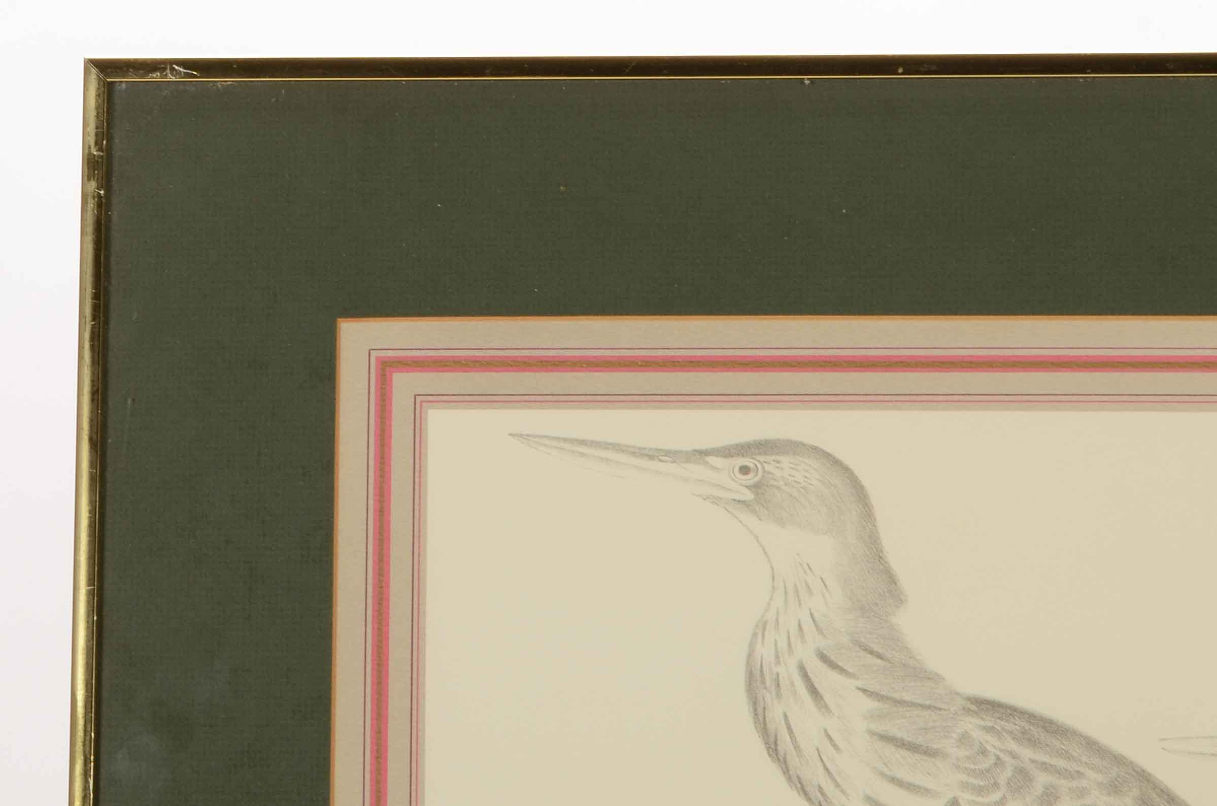 Pair of Offset Lithograph Prints of Birds