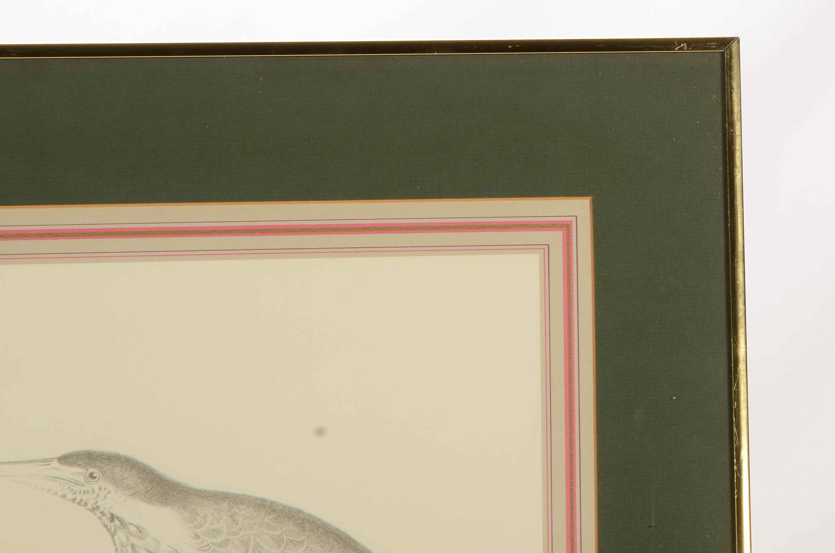 Pair of Offset Lithograph Prints of Birds