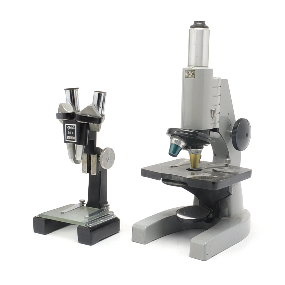 Pair of Microscopes
