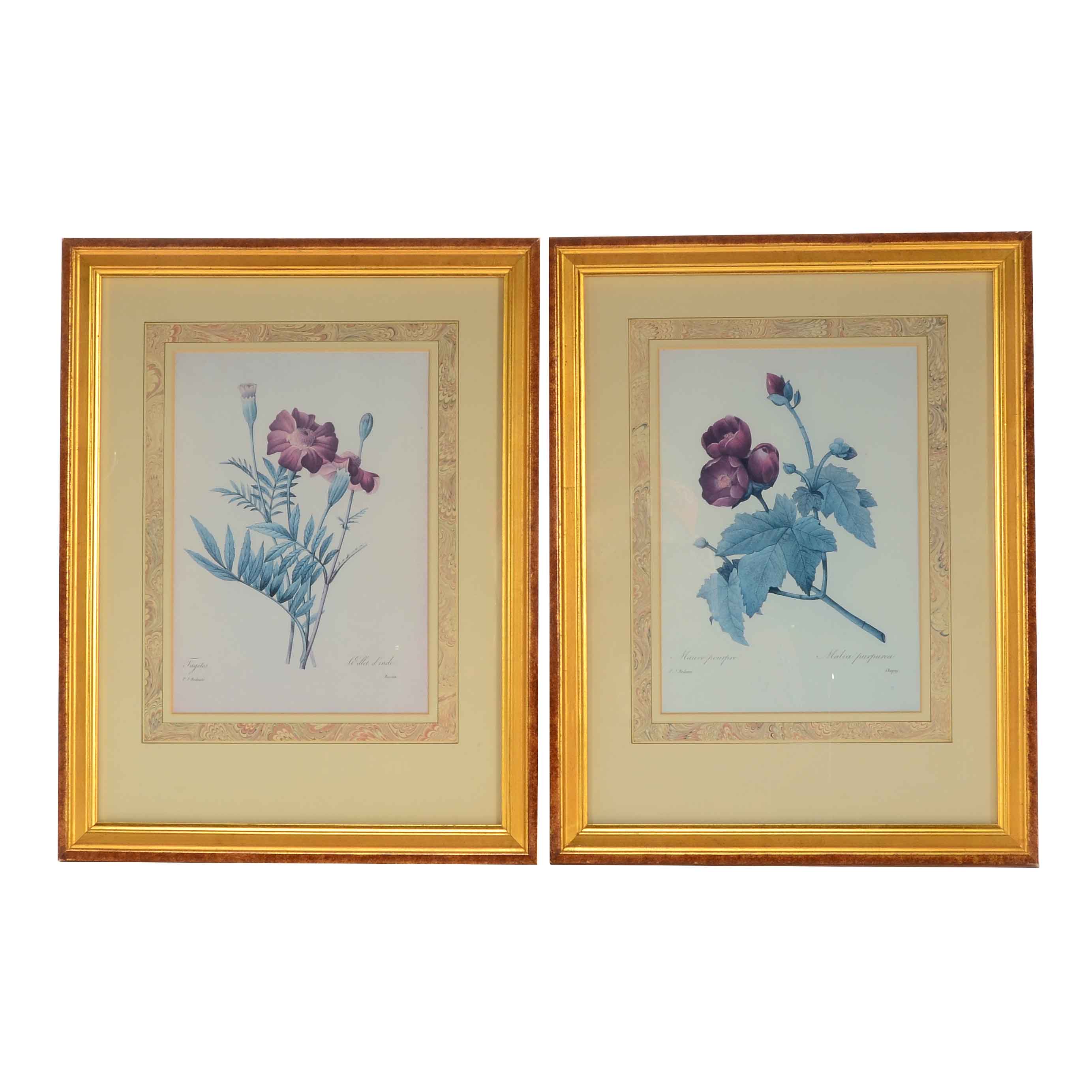Two Offset Lithographs after Pierre Redoute Botanical Illustrations