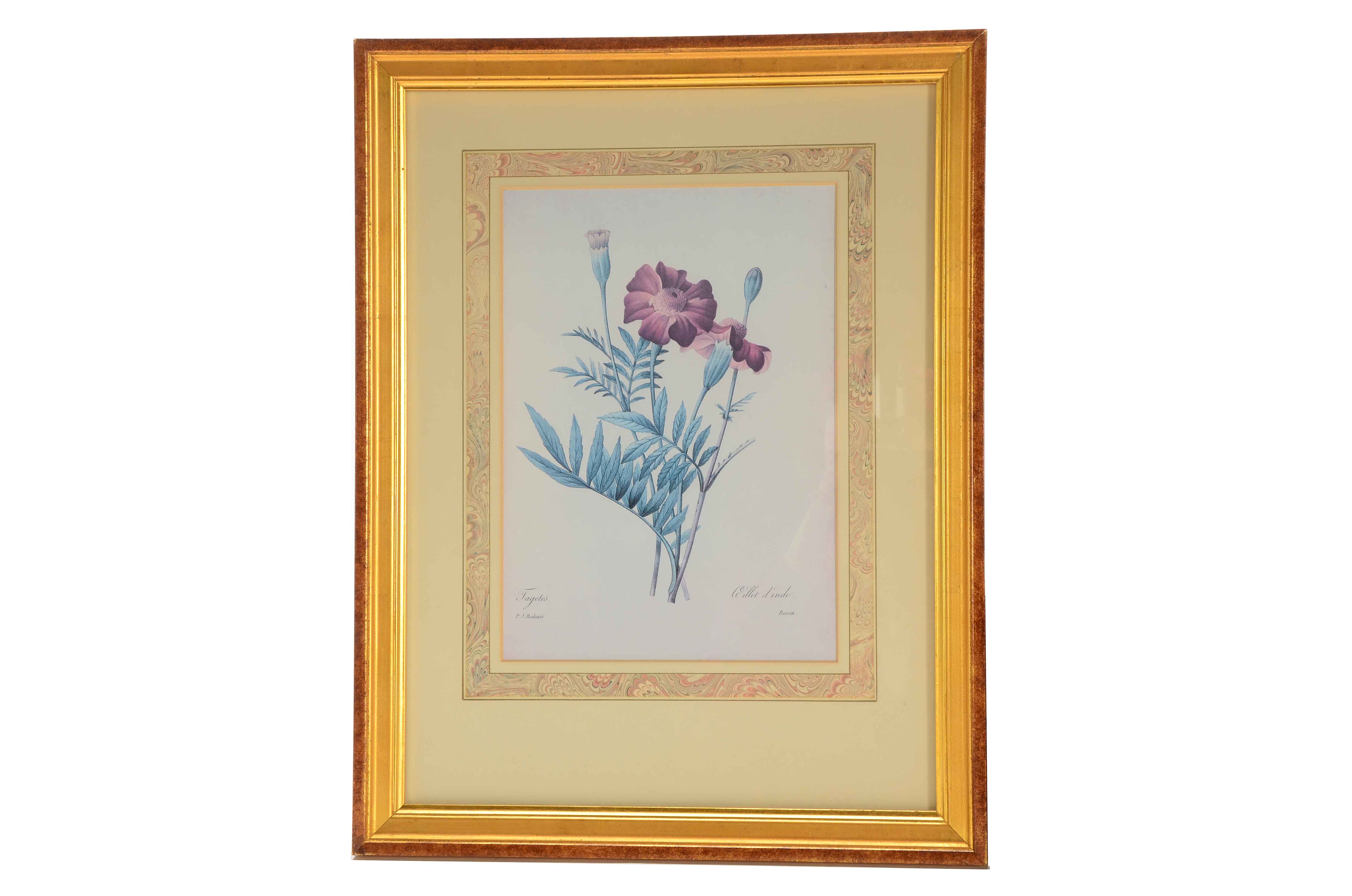 Two Offset Lithographs after Pierre Redoute Botanical Illustrations