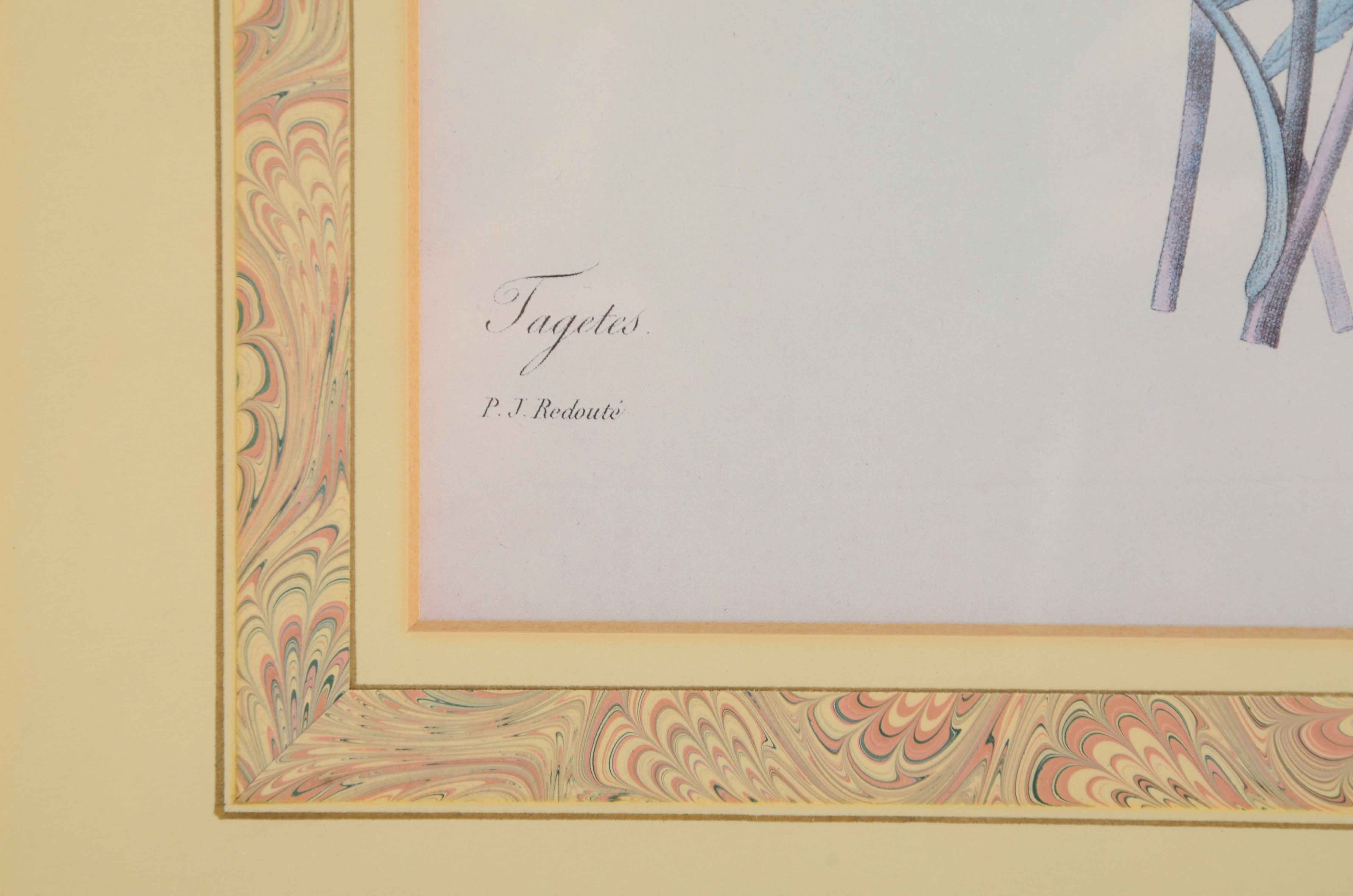 Two Offset Lithographs after Pierre Redoute Botanical Illustrations