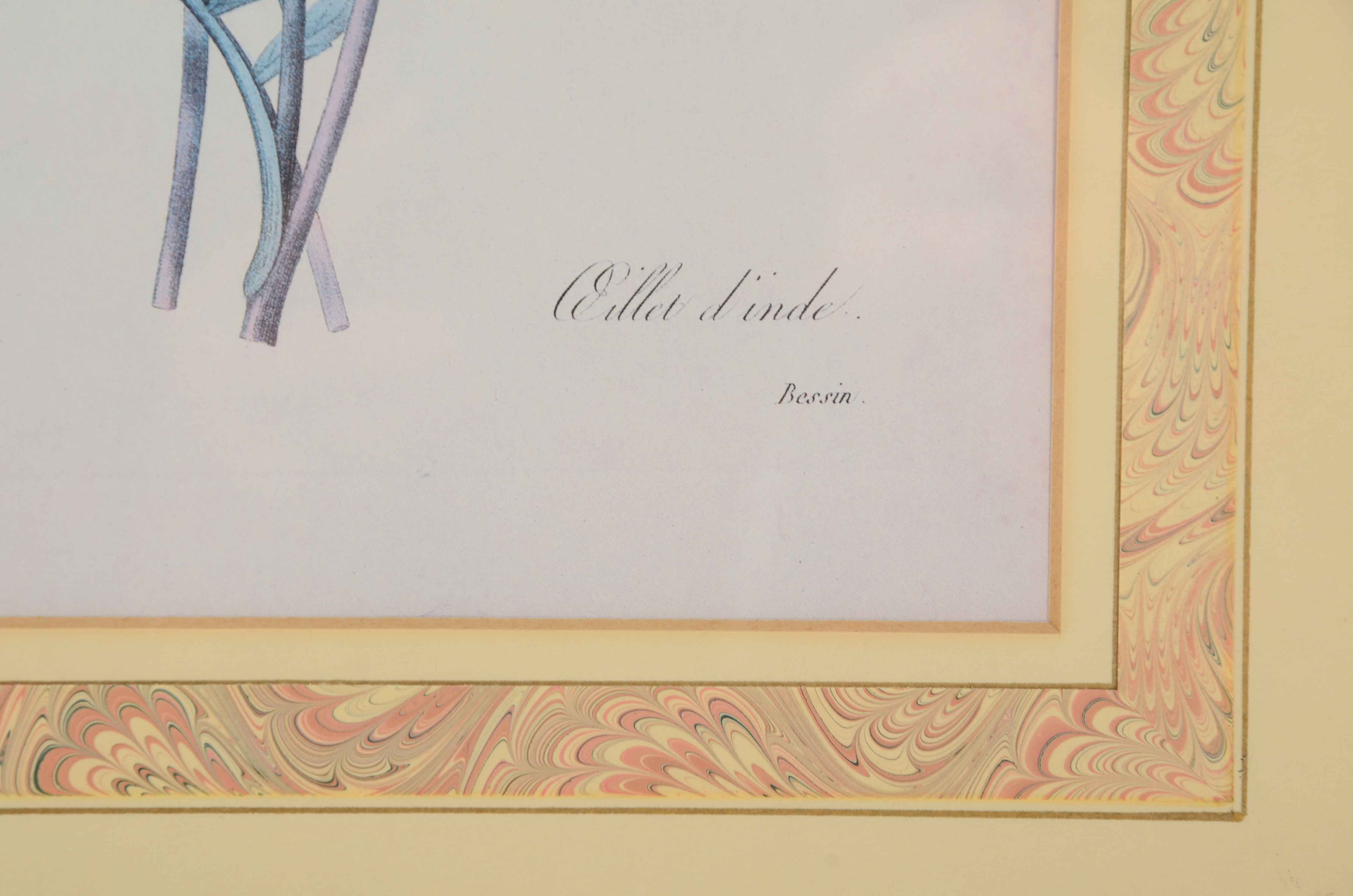 Two Offset Lithographs after Pierre Redoute Botanical Illustrations