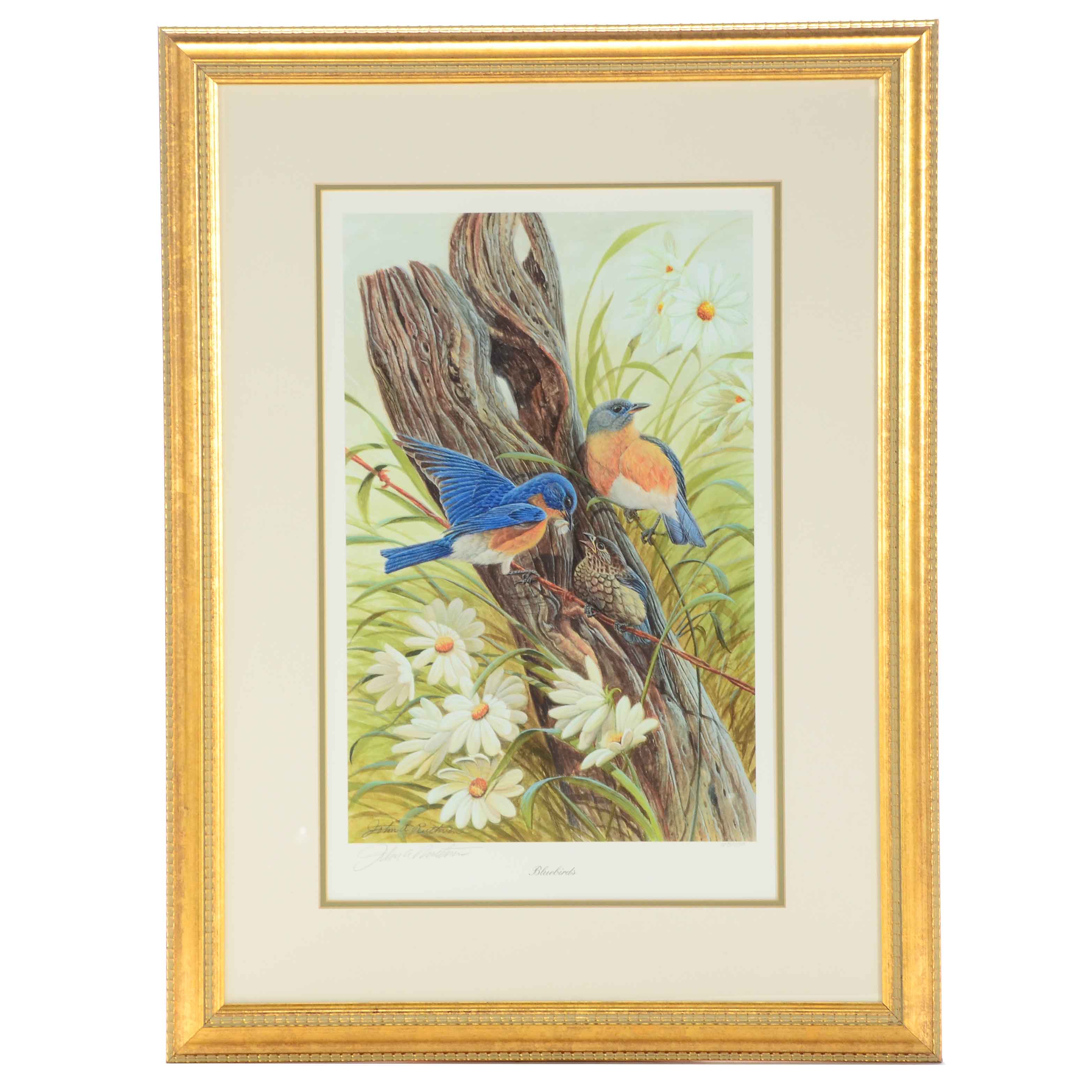 John Ruthven Signed Limited Edition Giclée "Bluebirds"
