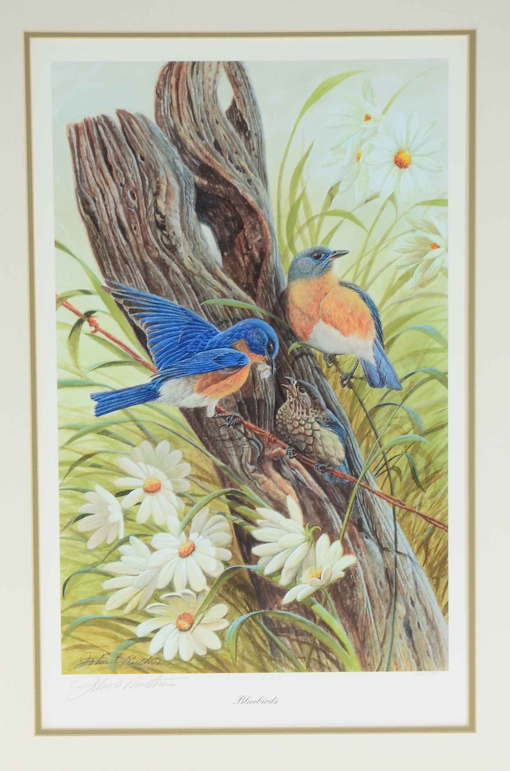 John Ruthven Signed Limited Edition Giclée "Bluebirds"