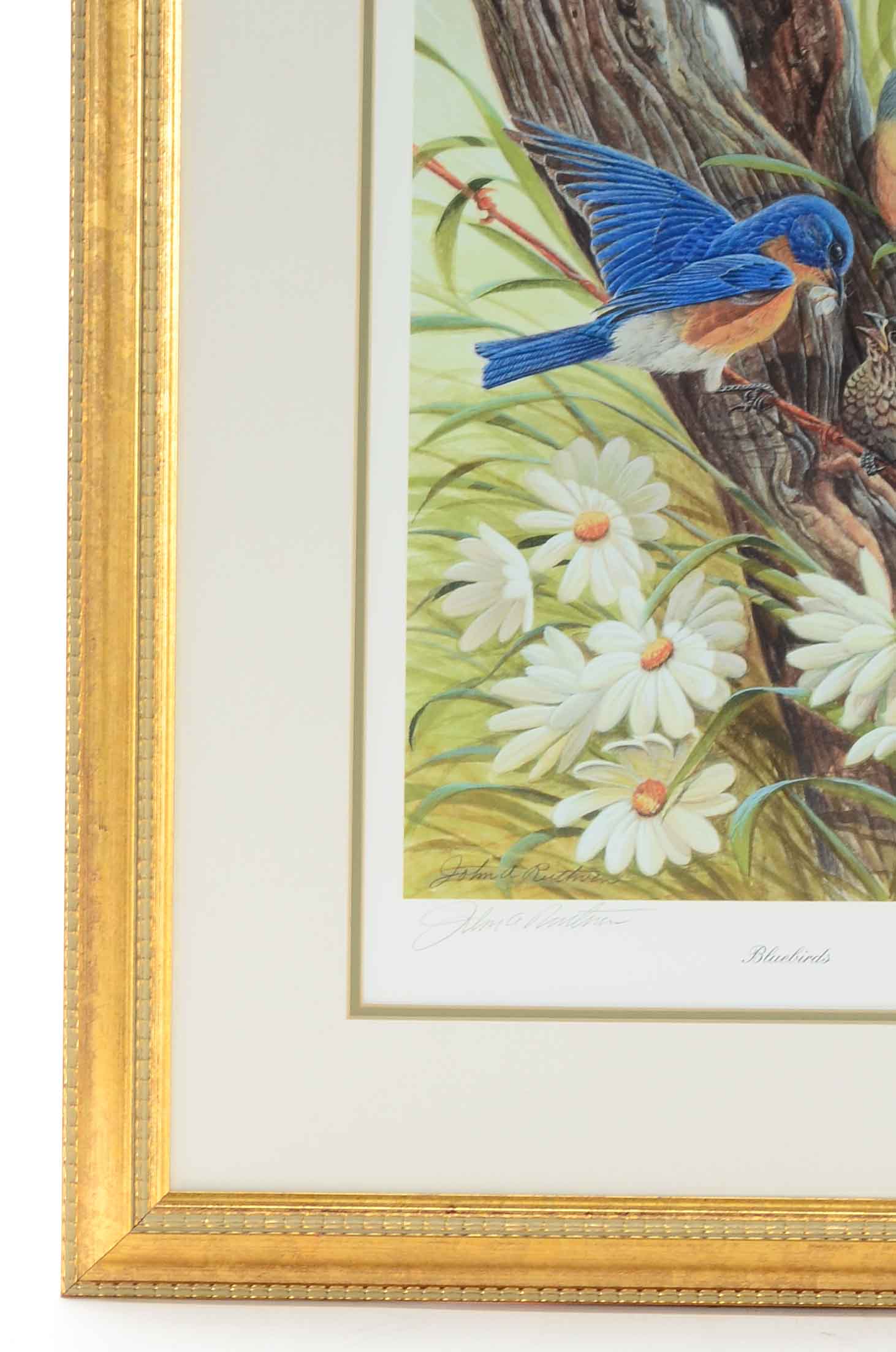 John Ruthven Signed Limited Edition Giclée "Bluebirds"