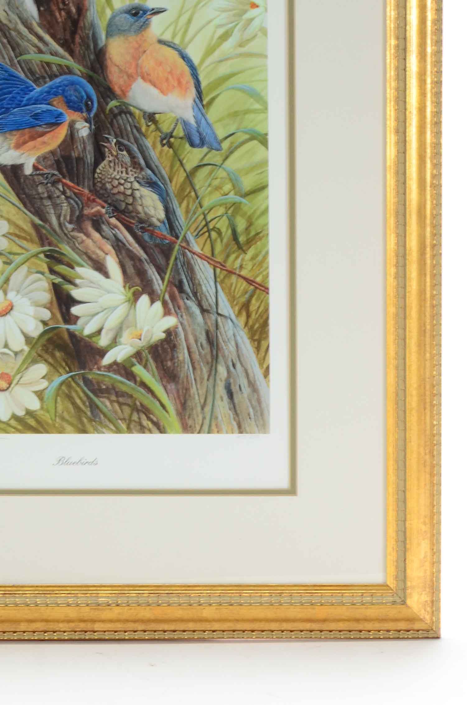 John Ruthven Signed Limited Edition Giclée "Bluebirds"