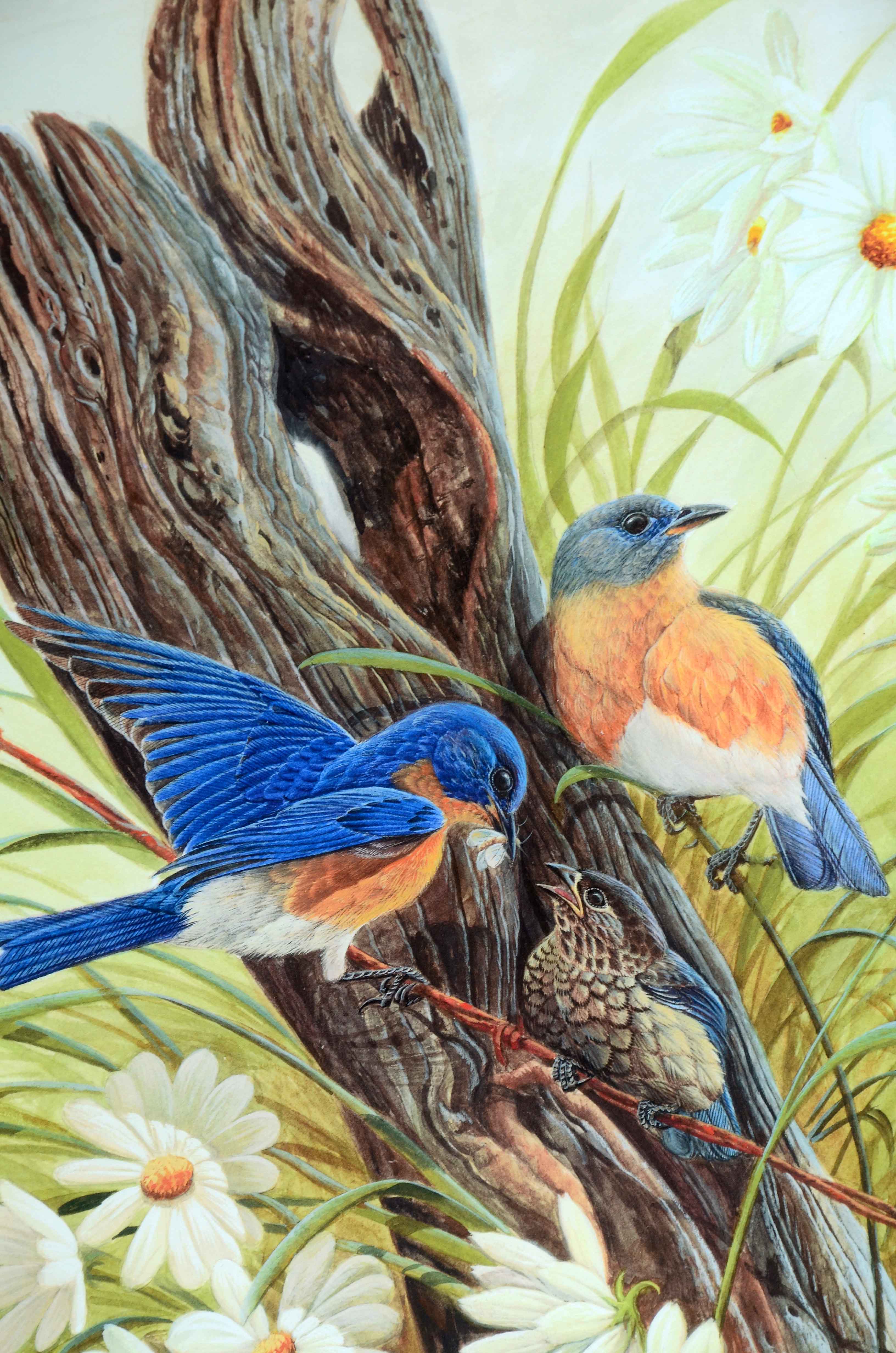 John Ruthven Signed Limited Edition Giclée "Bluebirds"