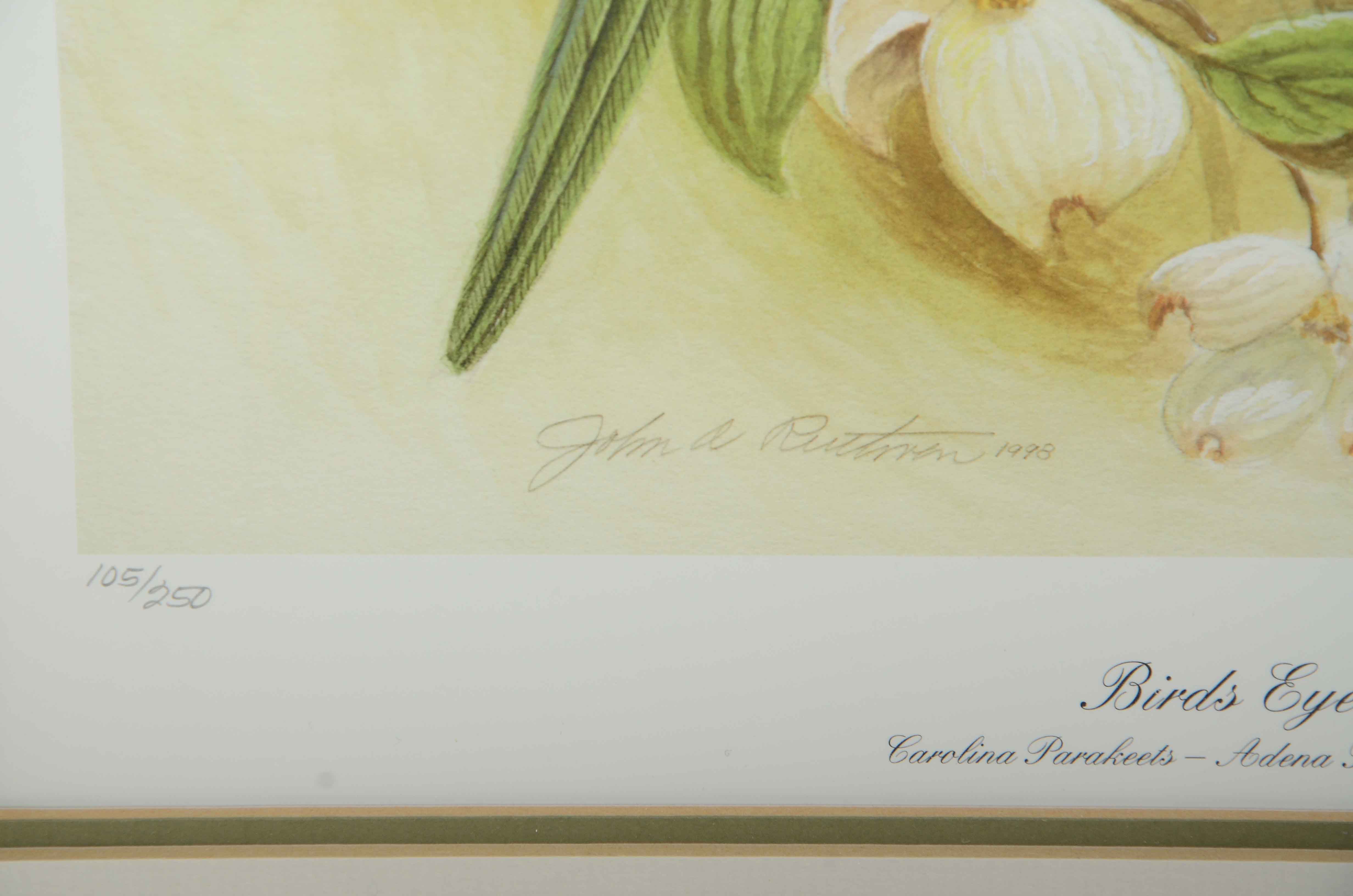 John Ruthven Signed Limited Edition Giclée "Bird's Eye View"