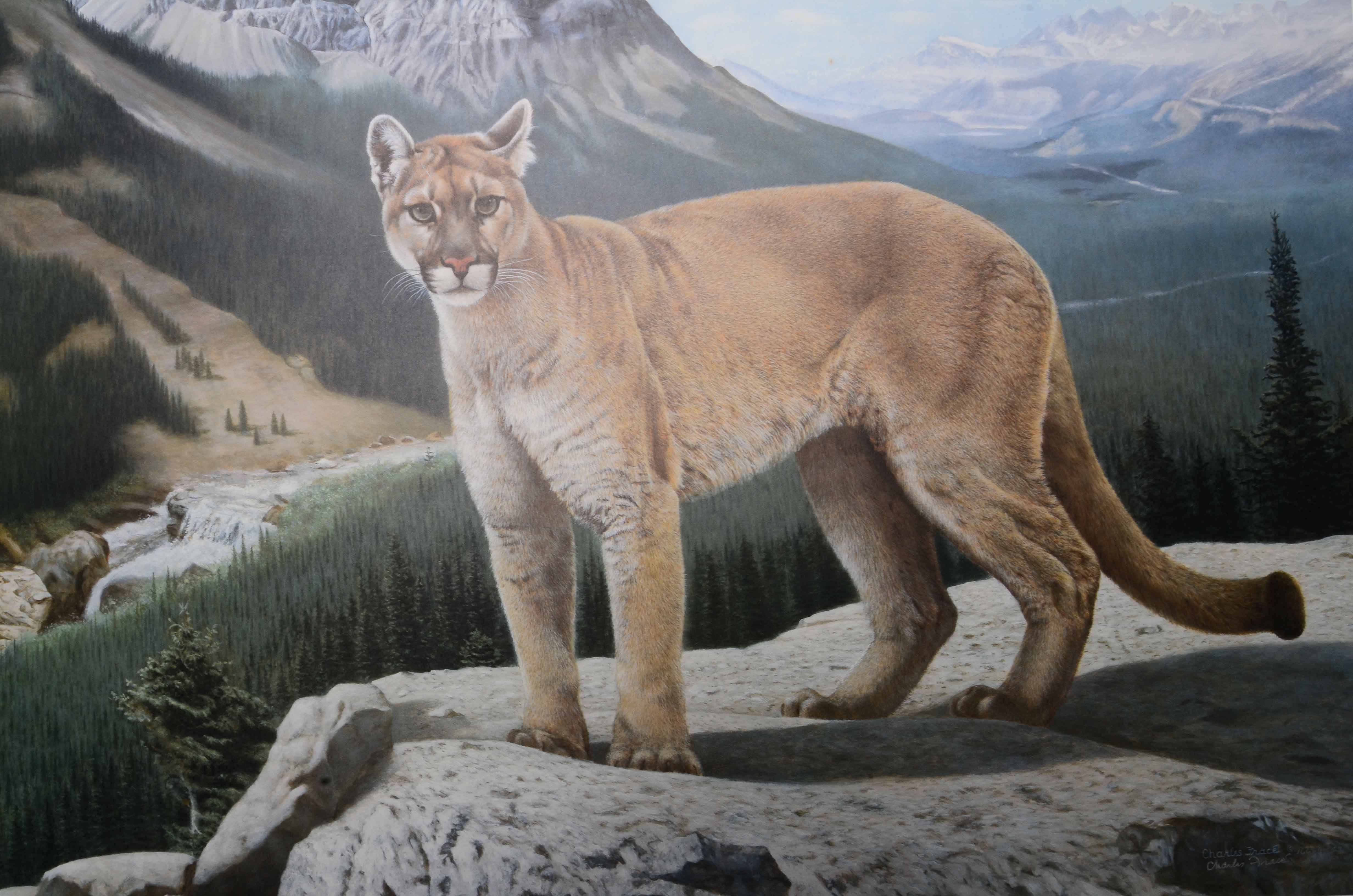 Charles Fracé Signed Limited Edition Offset Lithograph "His Domain"