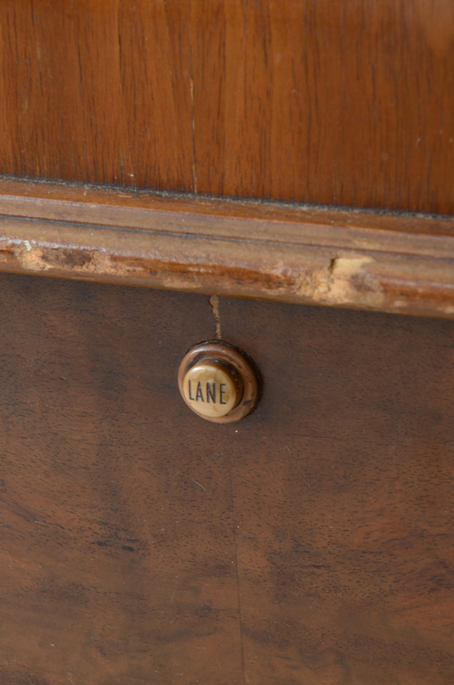 Vintage Lane Cedar Aroma-Tight Chest