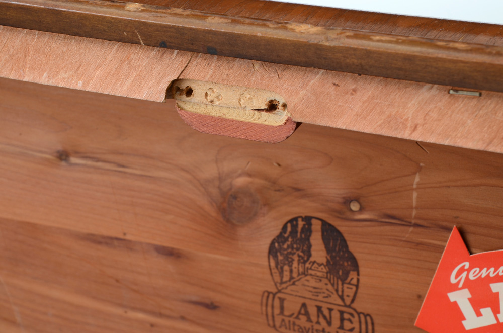 Vintage Lane Cedar Aroma-Tight Chest