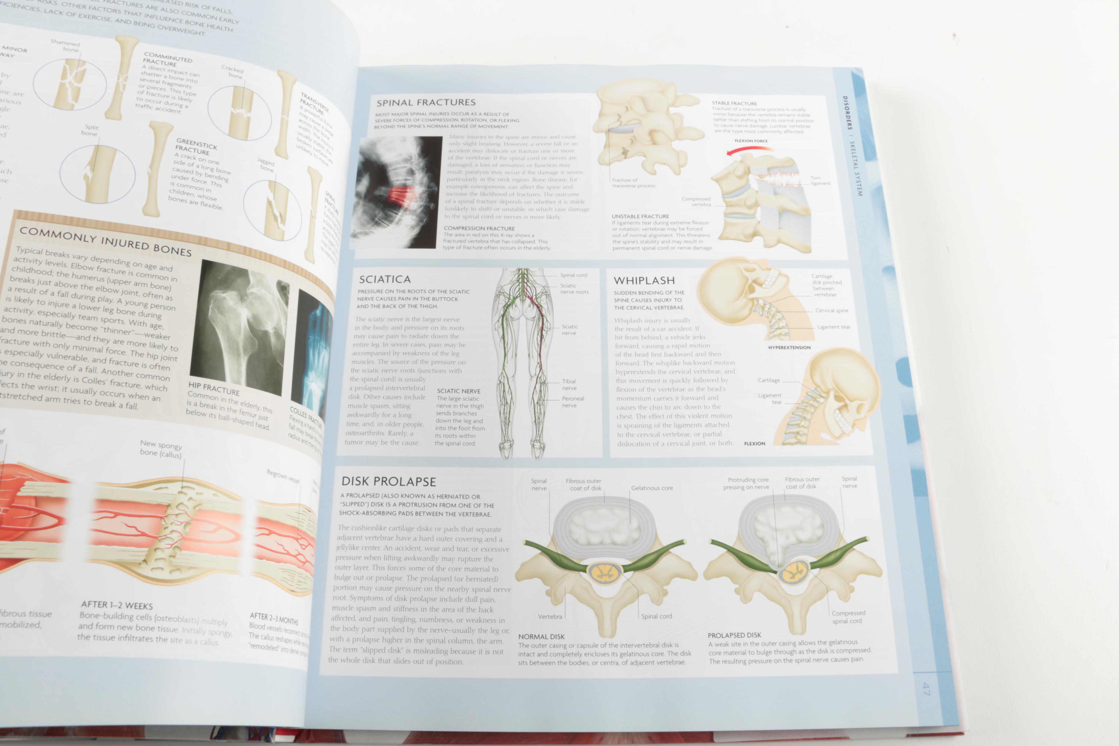 Six Non-Fiction Books Including Art