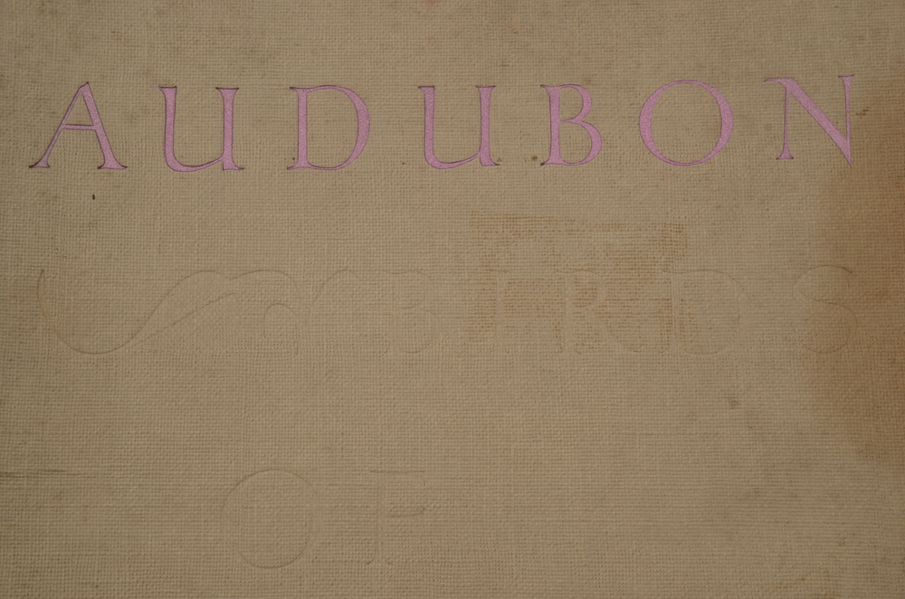 Set of Audobon "Birds of America" Prints