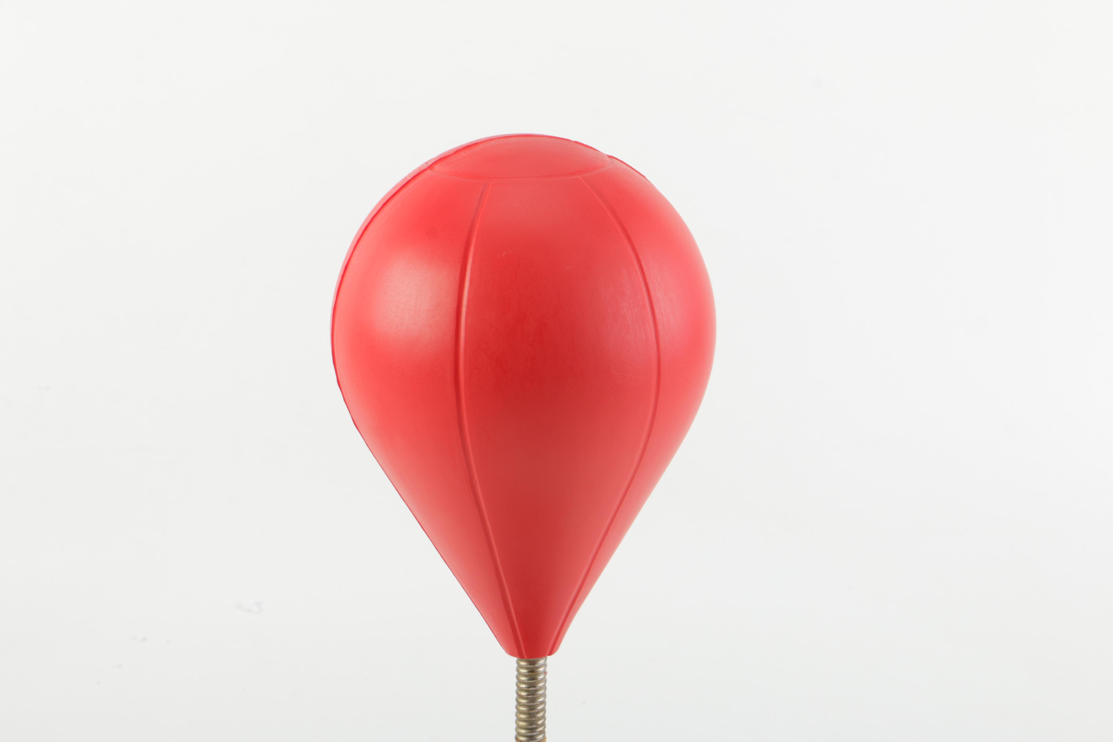 Exploratoy Globe and Desktop Punching Bag