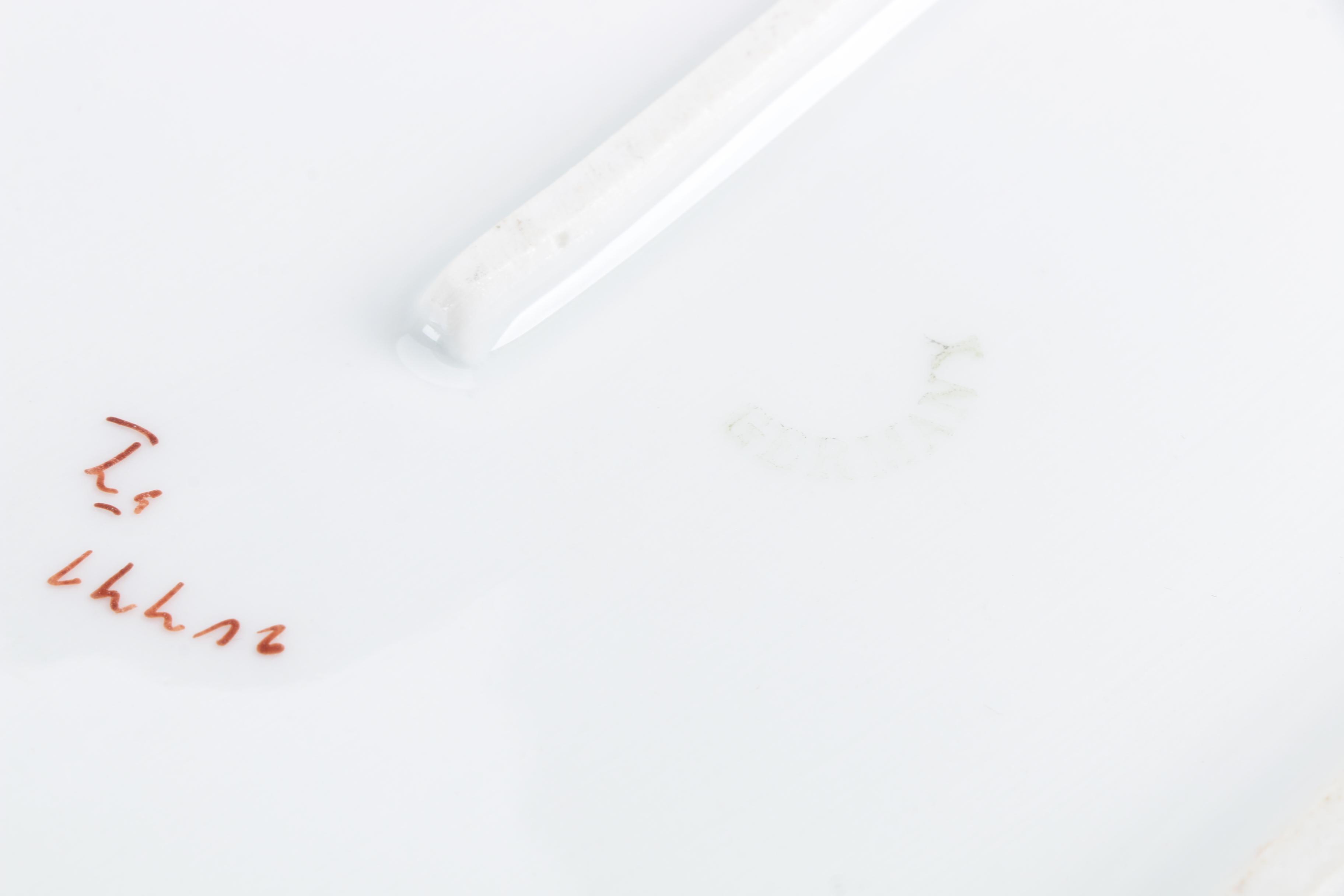 Antique Carl Tielsch Serving Platter 1875-1900