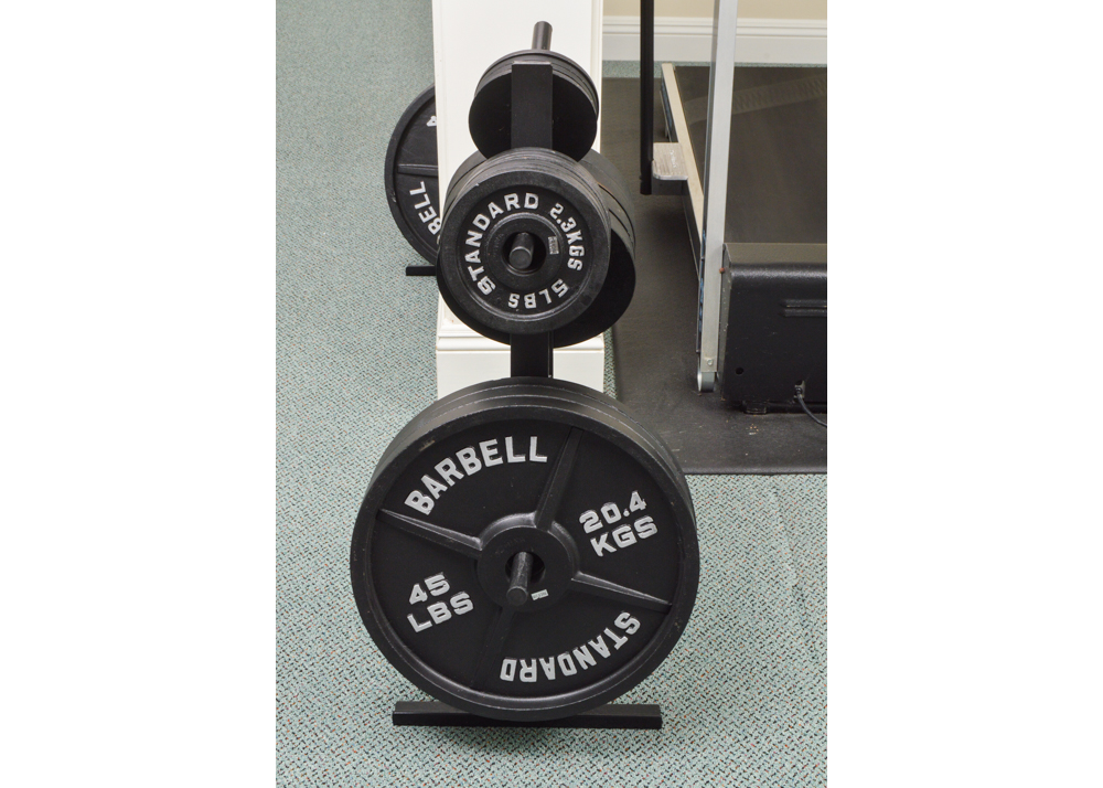 Body Solid weight tree 4 - 2.5 lbs  8 - 5 lbs 4 - 25 lbs 3 - 45 lbs