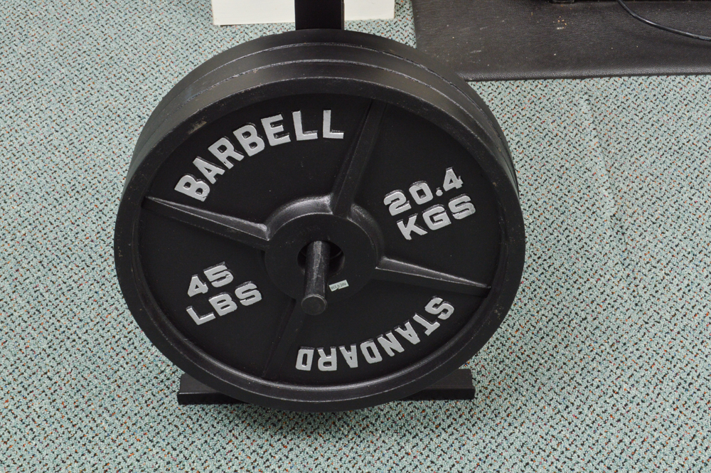 Body Solid weight tree 4 - 2.5 lbs  8 - 5 lbs 4 - 25 lbs 3 - 45 lbs