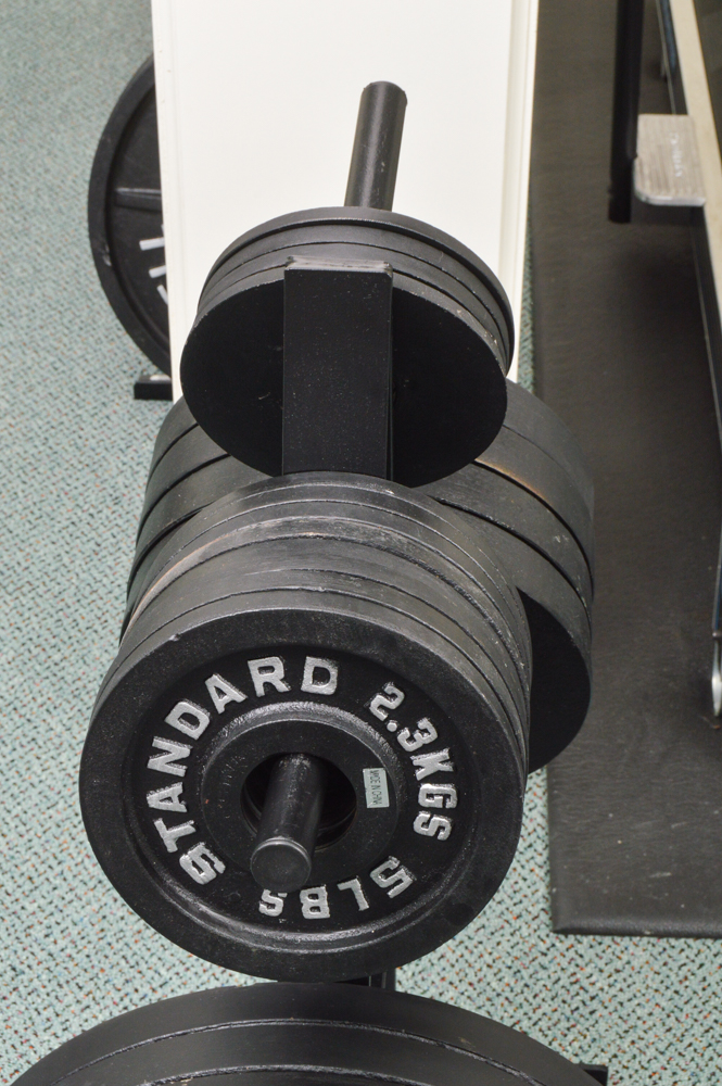 Body Solid weight tree 4 - 2.5 lbs  8 - 5 lbs 4 - 25 lbs 3 - 45 lbs