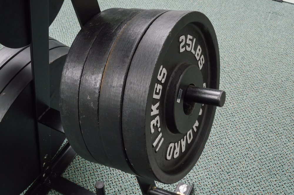 Body Solid weight tree 4 - 2.5 lbs  8 - 5 lbs 4 - 25 lbs 3 - 45 lbs