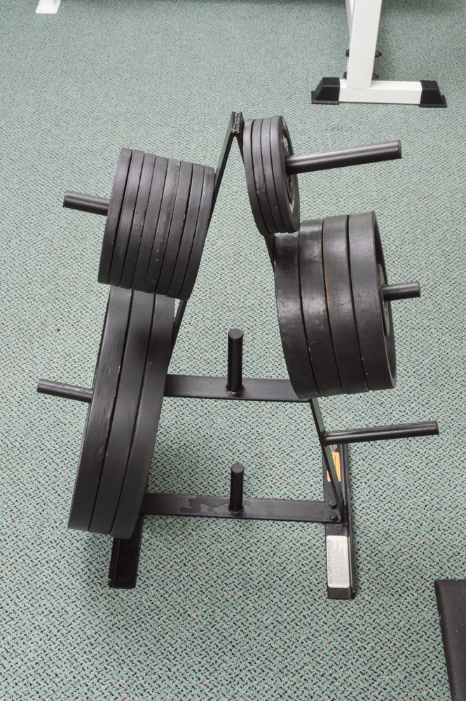 Body Solid weight tree 4 - 2.5 lbs  8 - 5 lbs 4 - 25 lbs 3 - 45 lbs