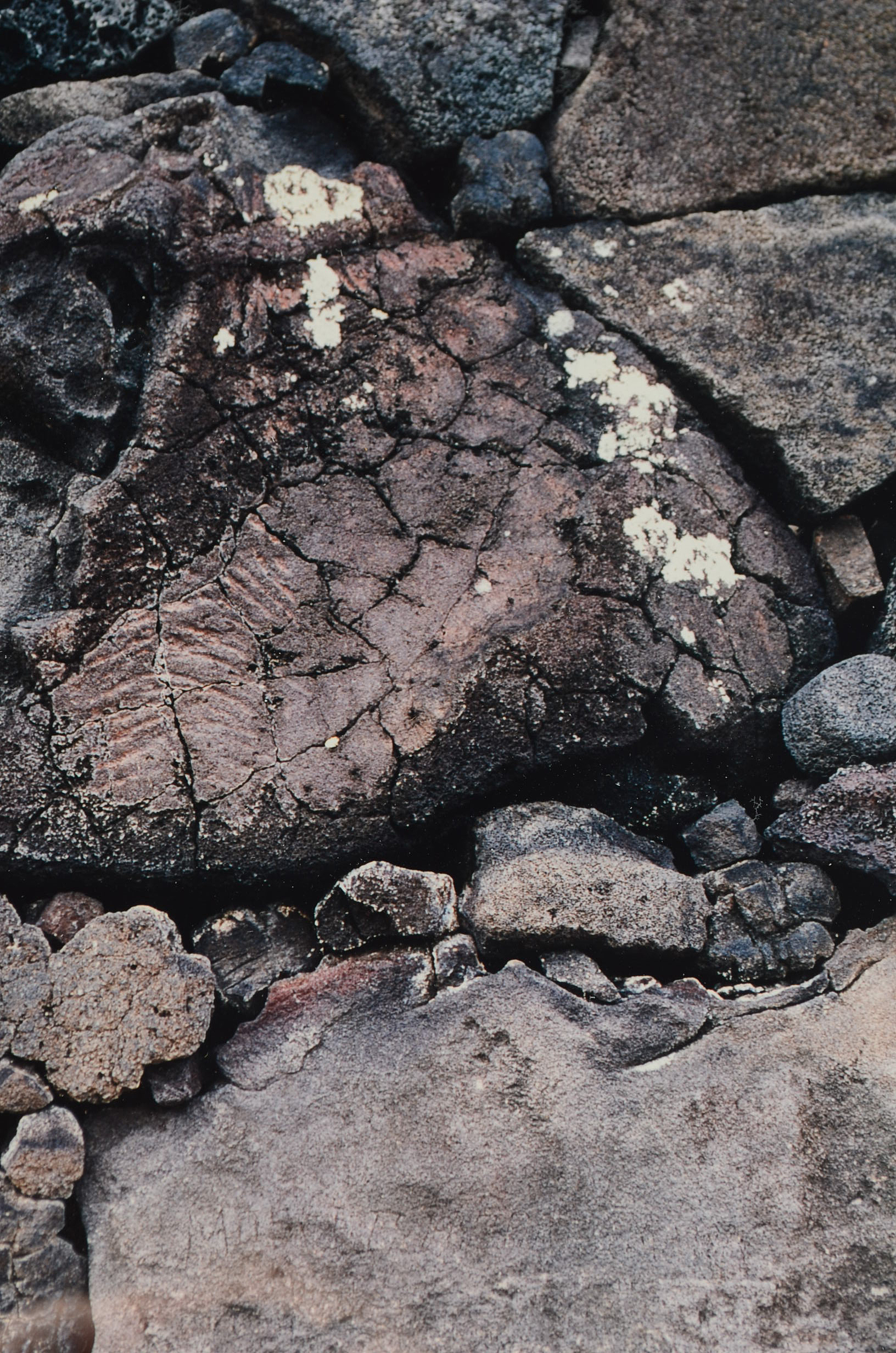 G. Brad Lewis Color Photograph on Paper of Lava Rocks