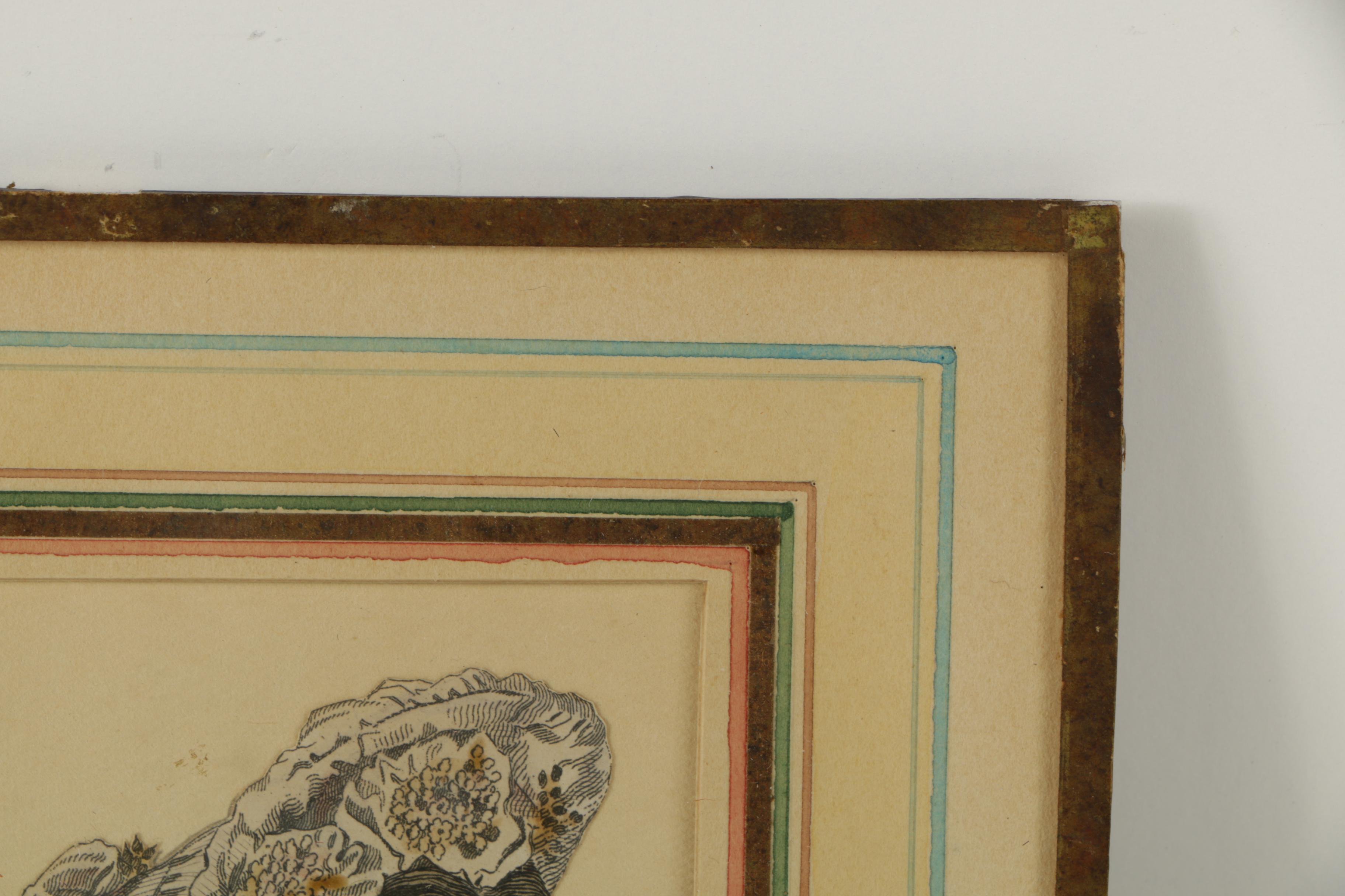 Vintage Hand Colored Etchings on Paper From Fashion Plates