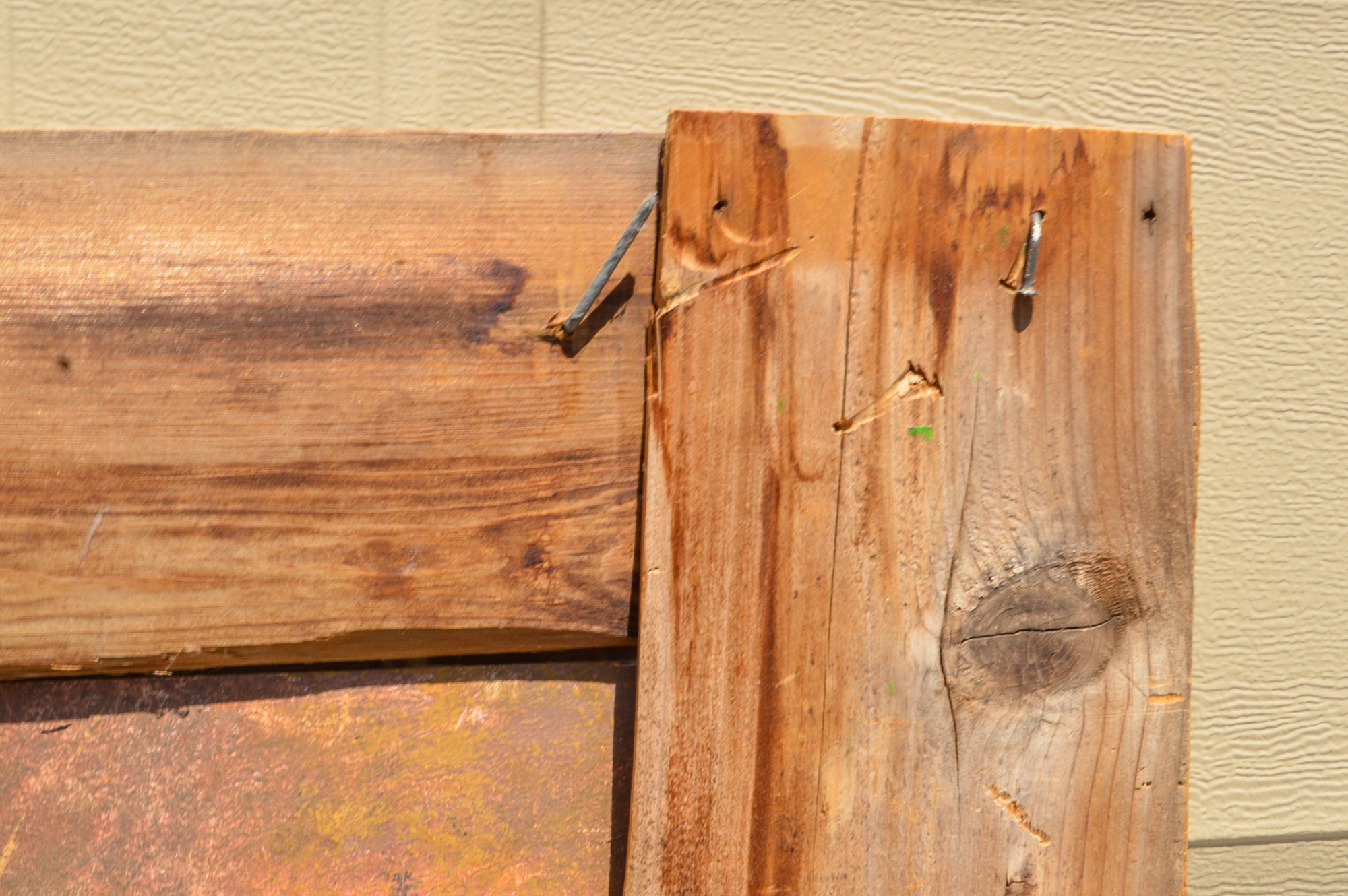 Acrylic Painting on Board of a Woman and a Fruit Still Life