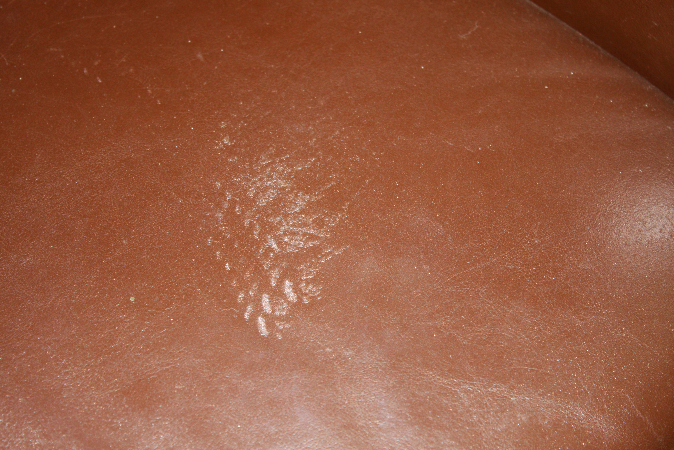 Contemporary Italian Brown Leather Sofa