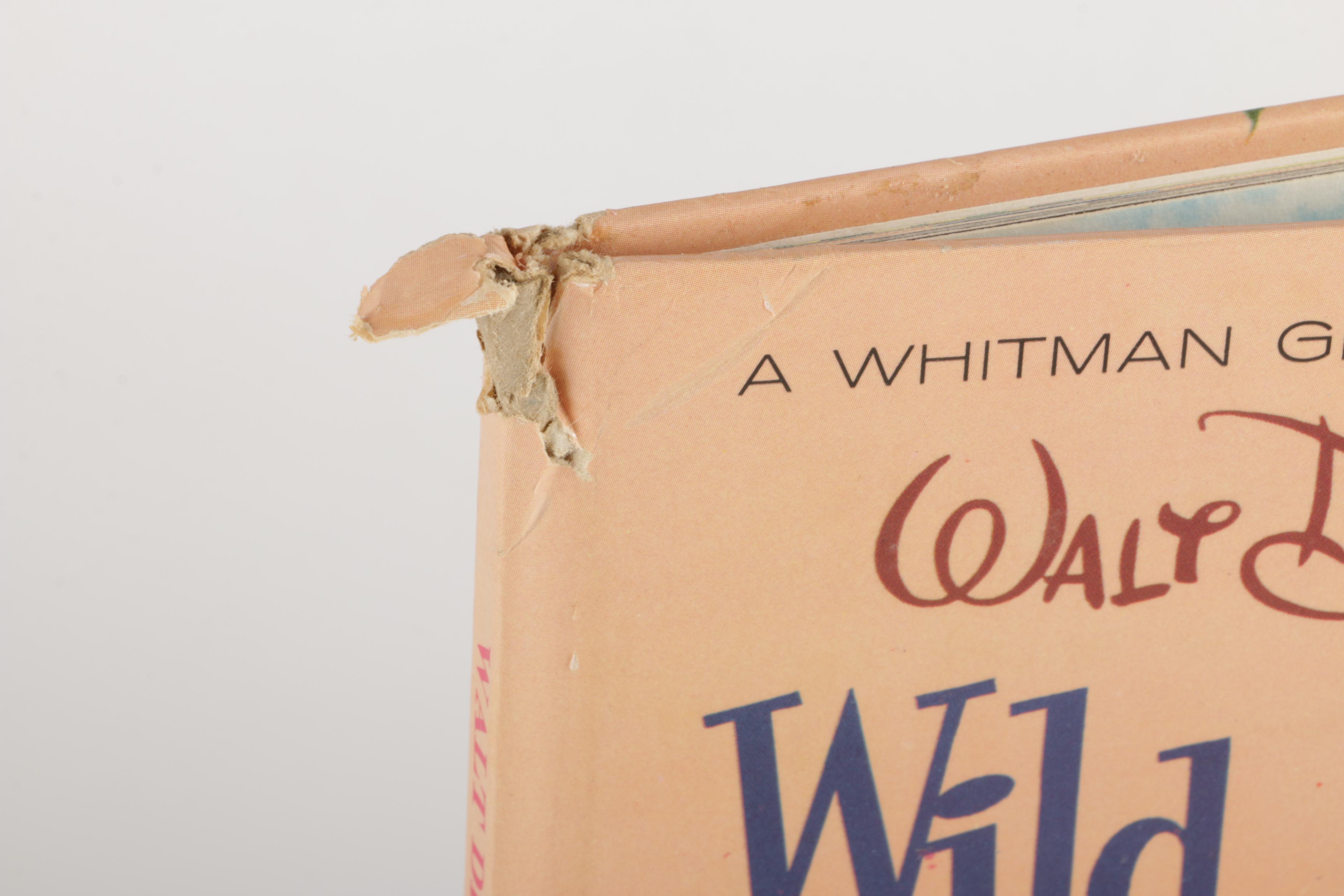 Collection of Children's Books