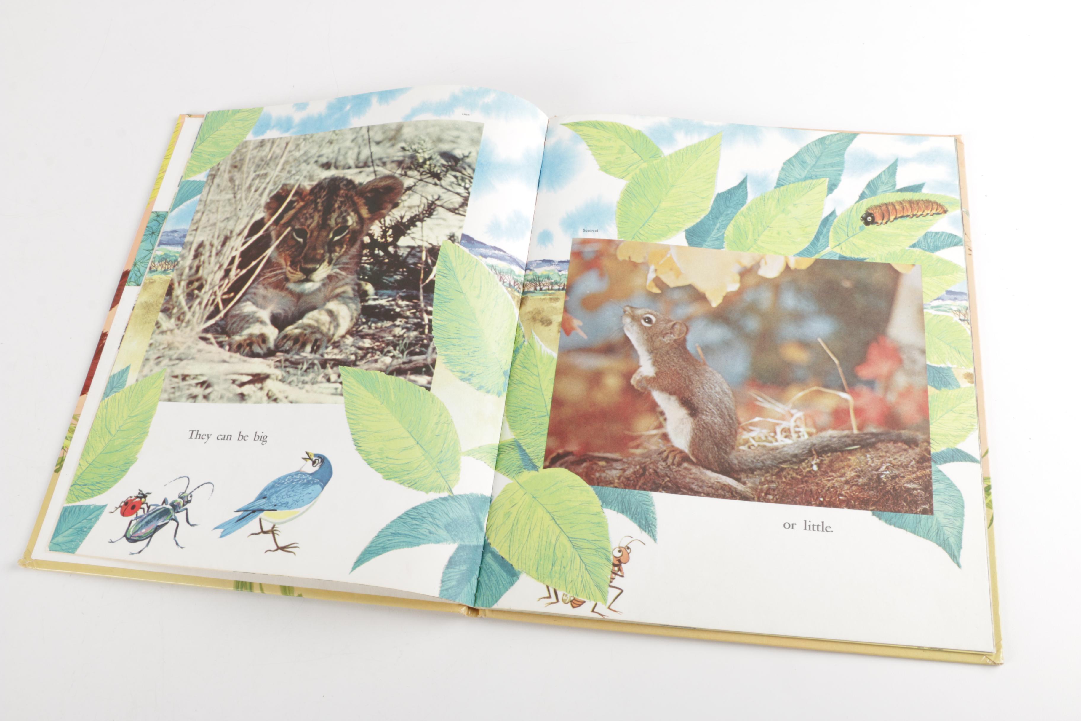 Collection of Children's Books