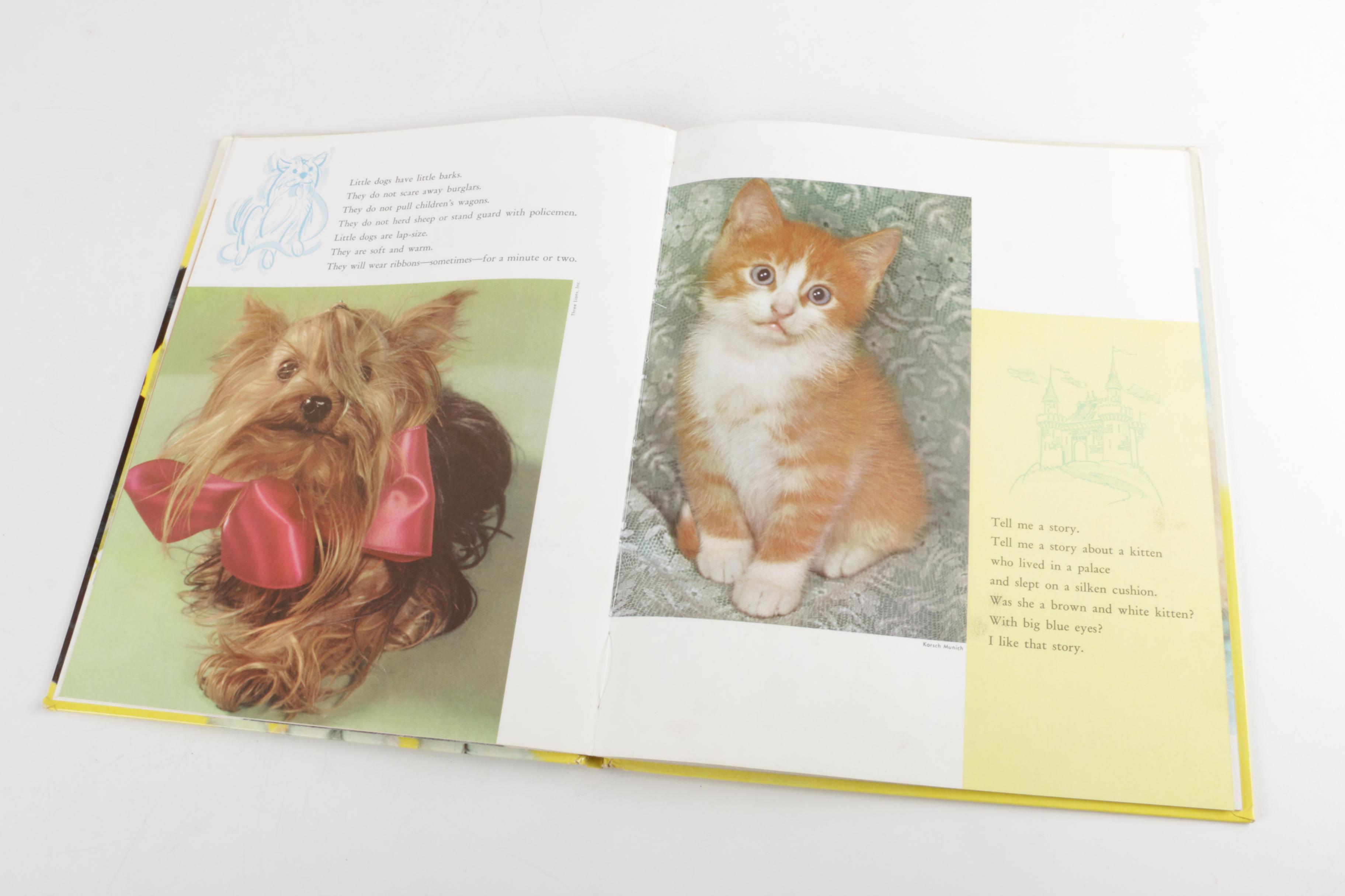 Collection of Children's Books