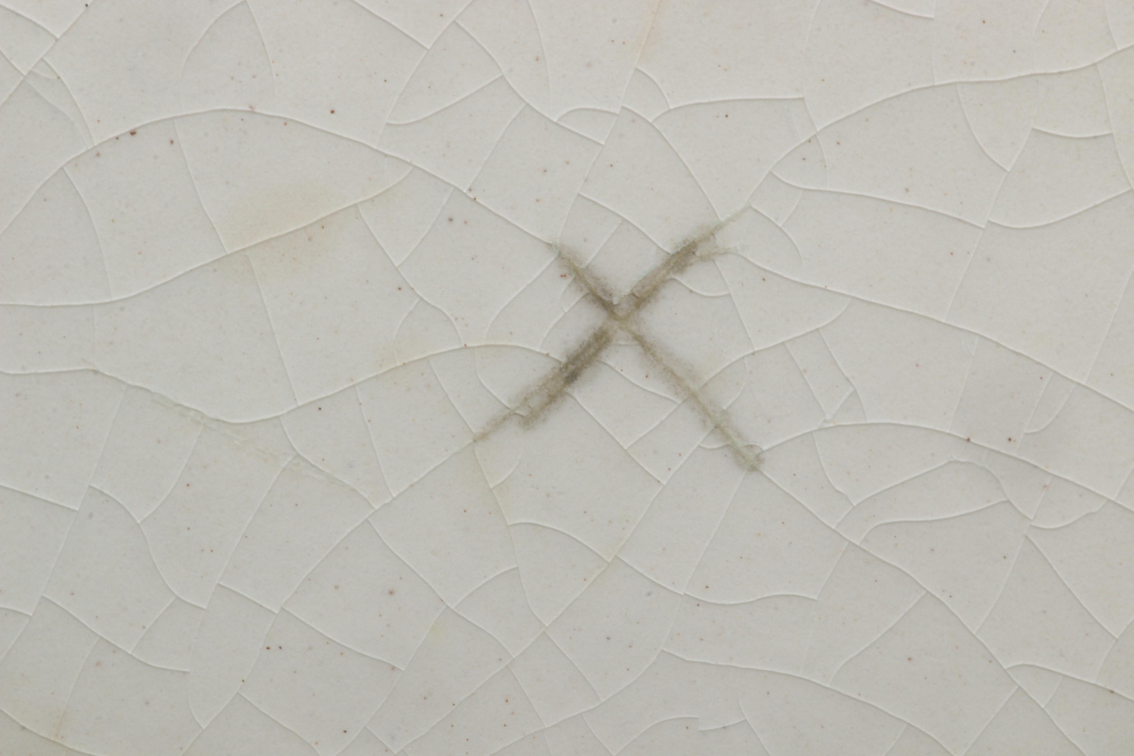 Antique Minton Aesthetic Movement Majolica Botanical Plates