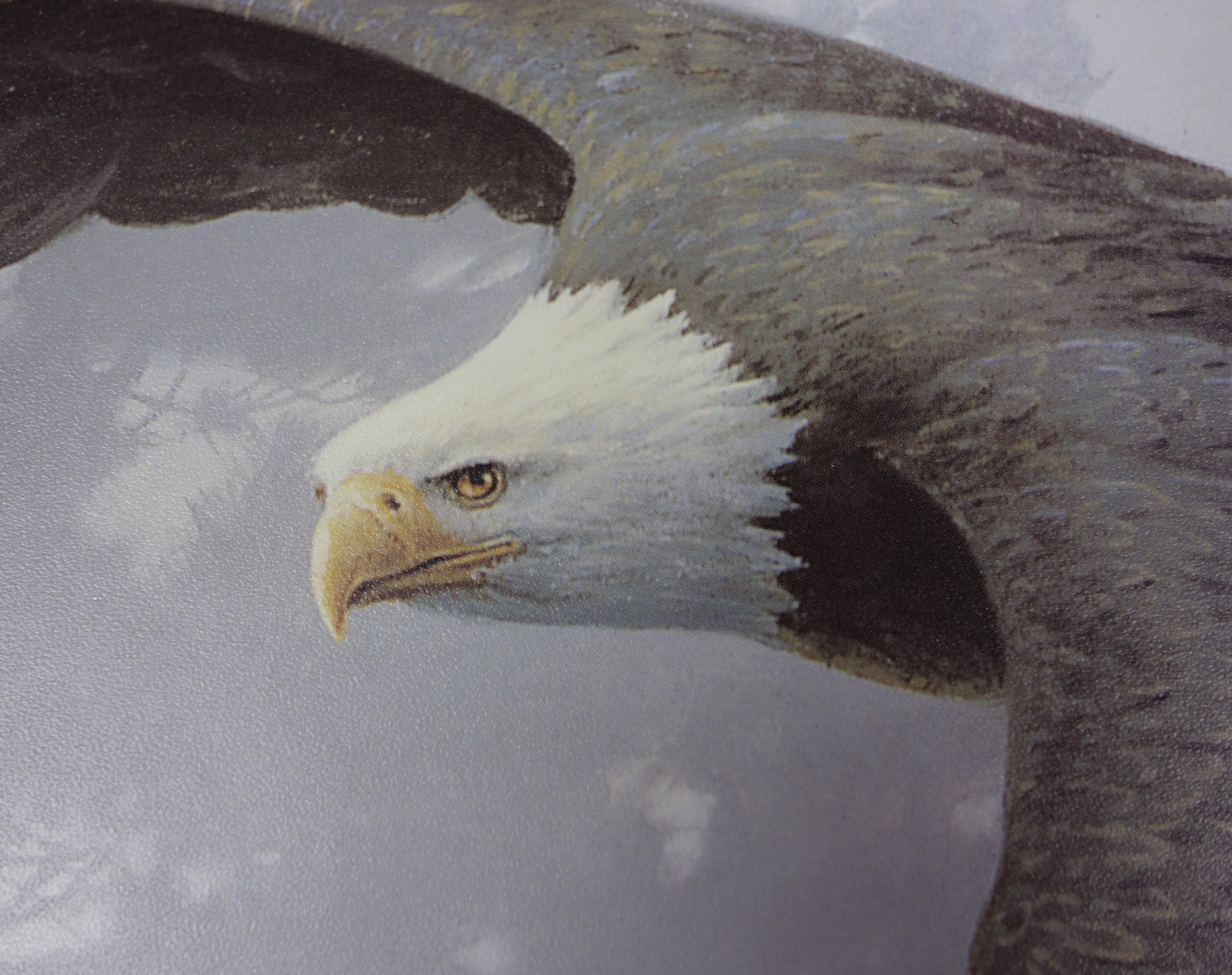【Forestman works】Eagle touch the sky Forestman works】Eagle touch the sky Space: 1999 Eagles
