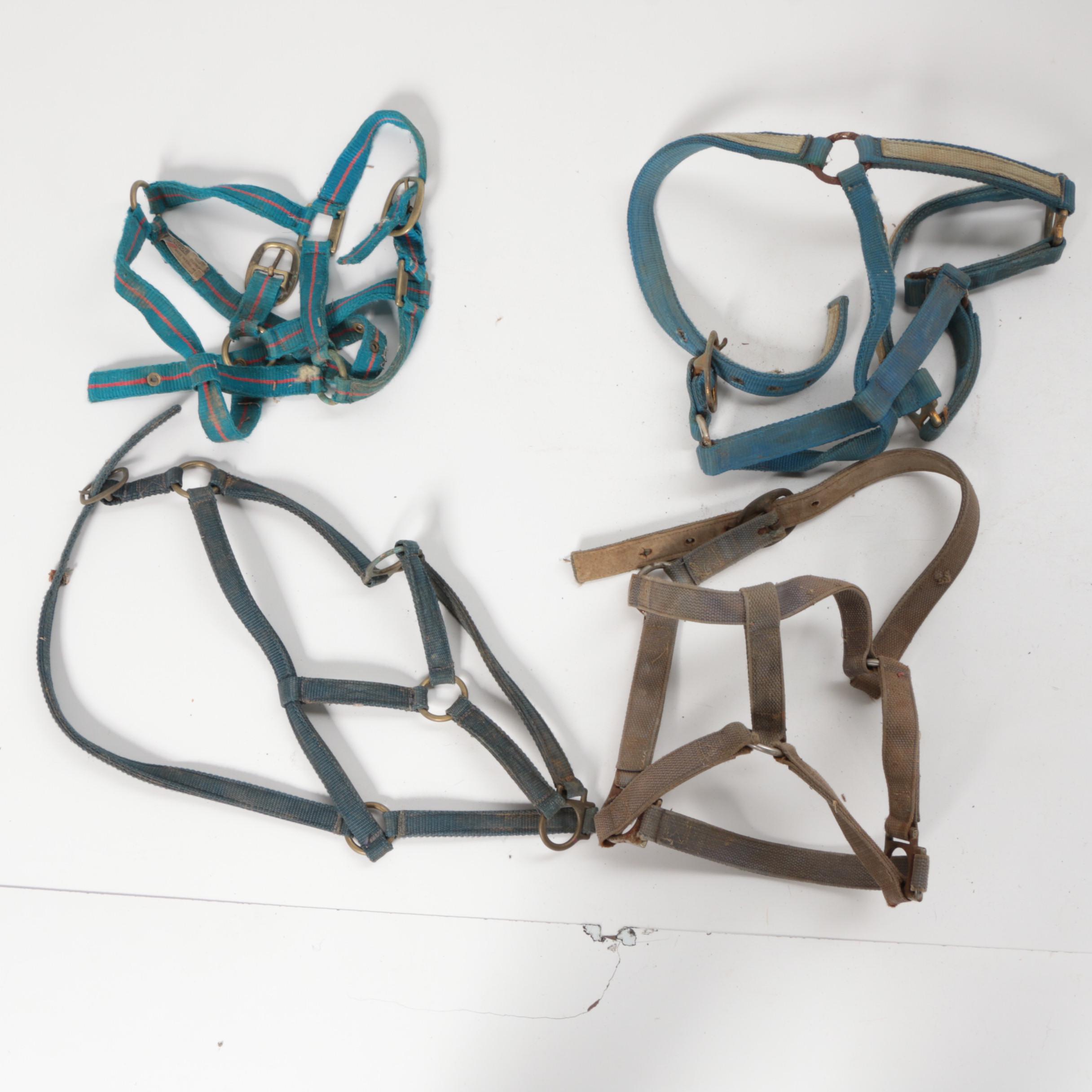 Horse Bridles and Other Equestrian Accessories