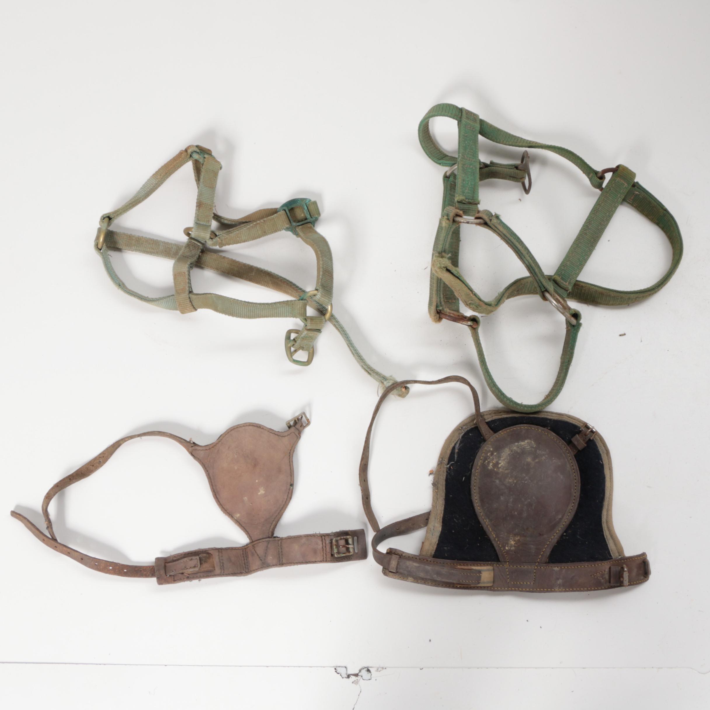 Horse Bridles and Other Equestrian Accessories