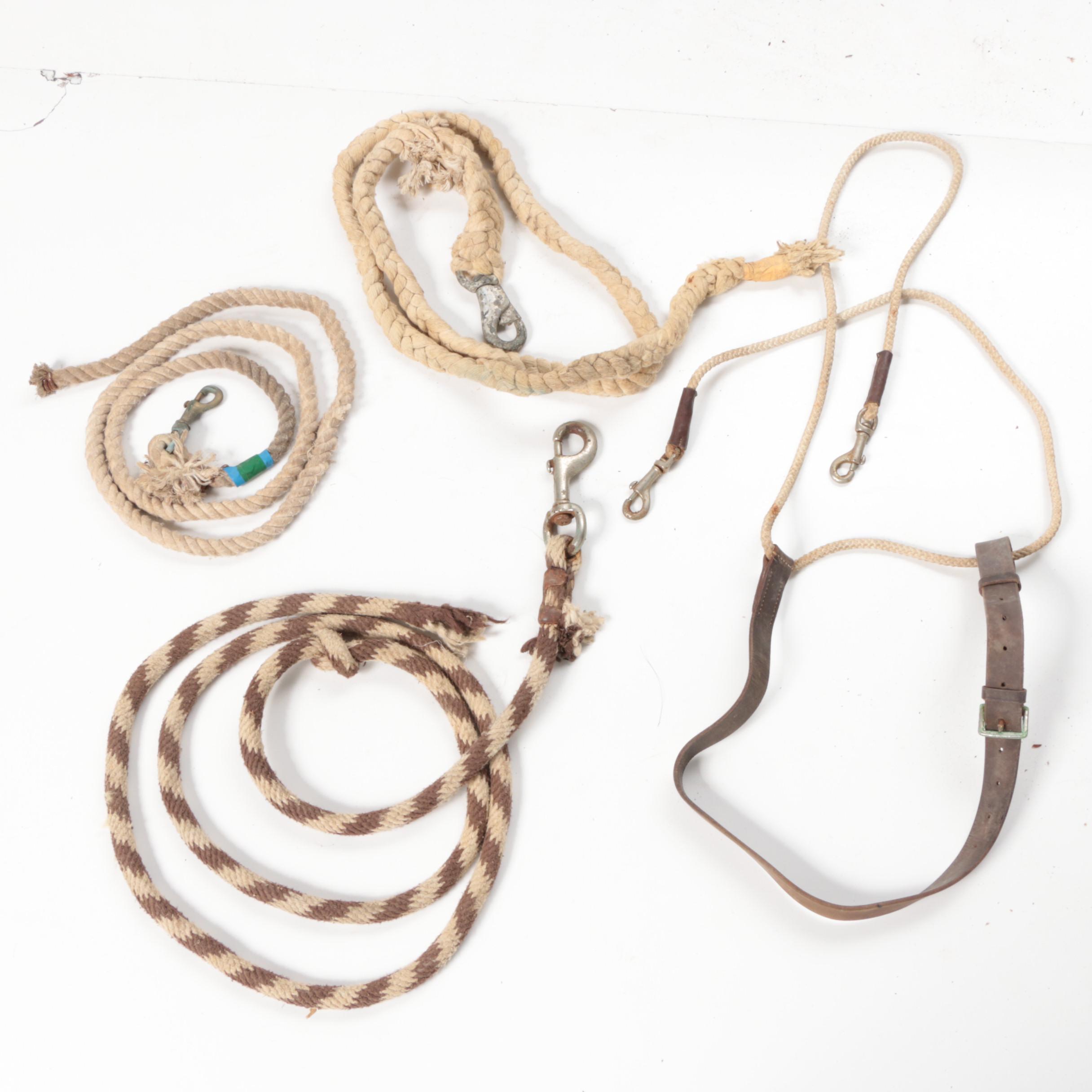 Horse Bridles and Other Equestrian Accessories
