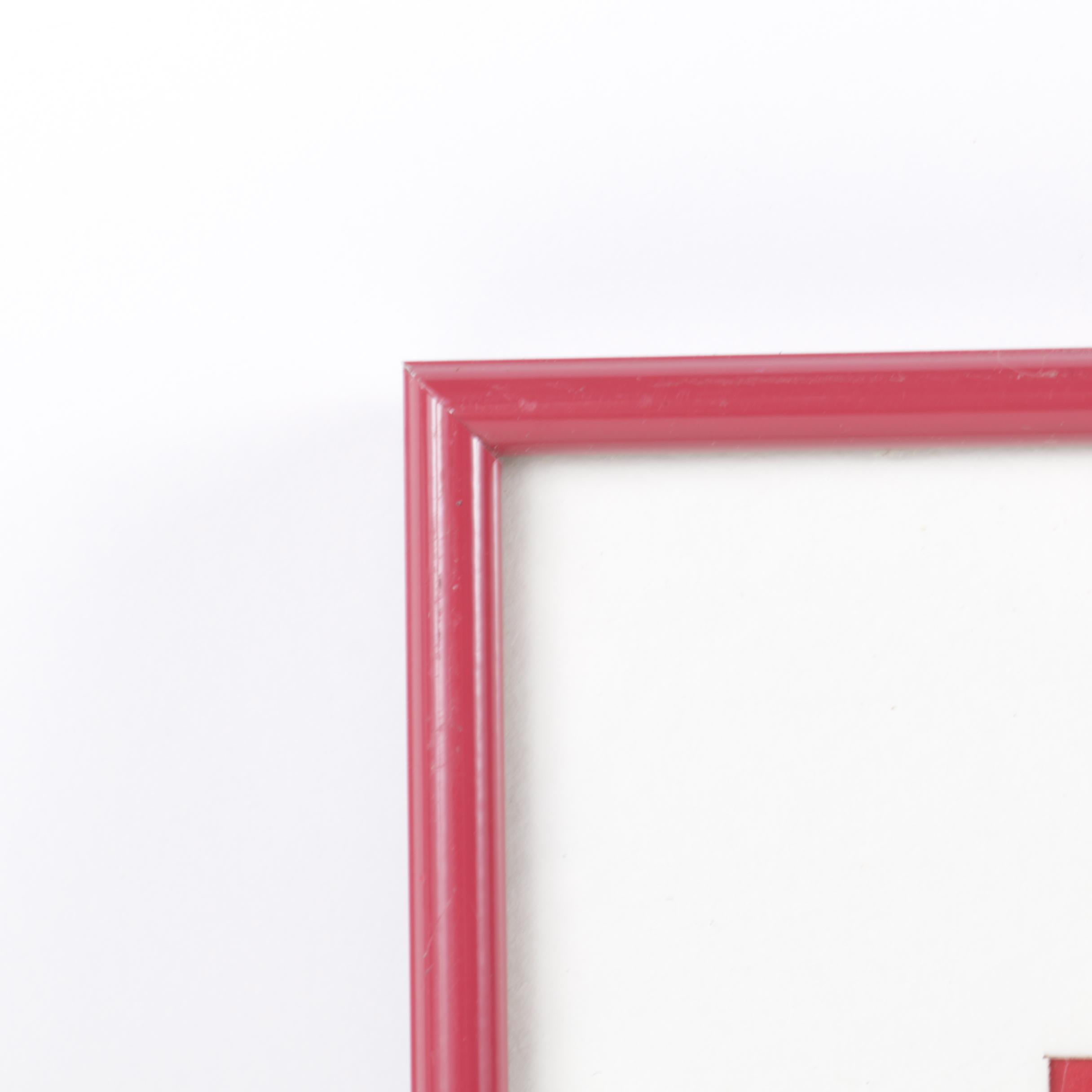 Bill Dziejman Color Photographs "Red Grape Series"