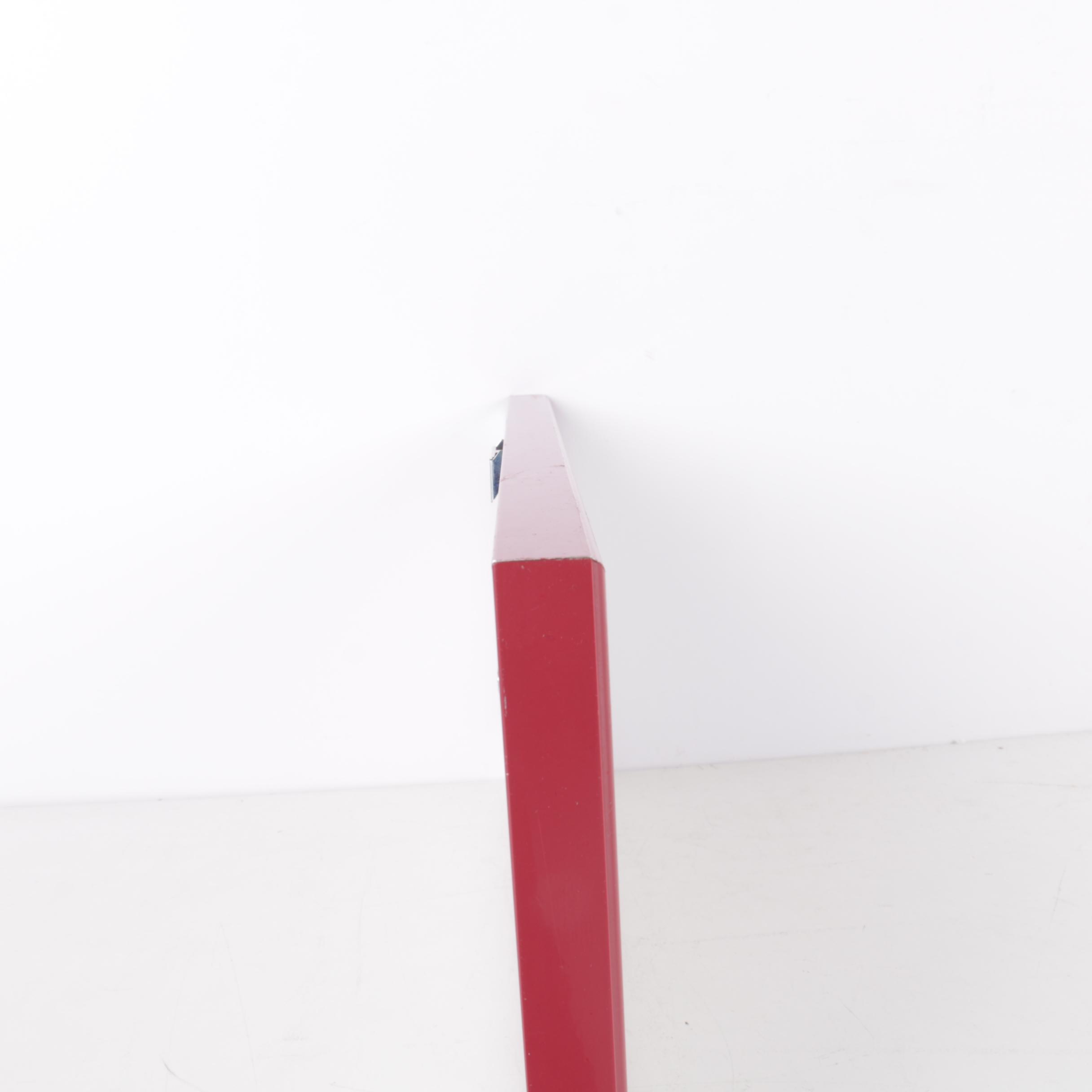 Bill Dziejman Color Photographs "Red Grape Series"