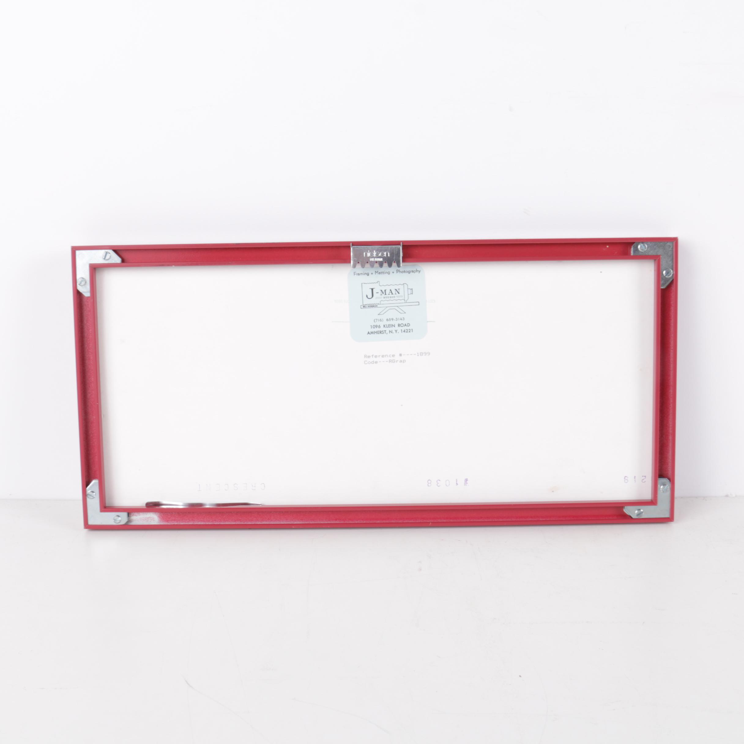 Bill Dziejman Color Photographs "Red Grape Series"