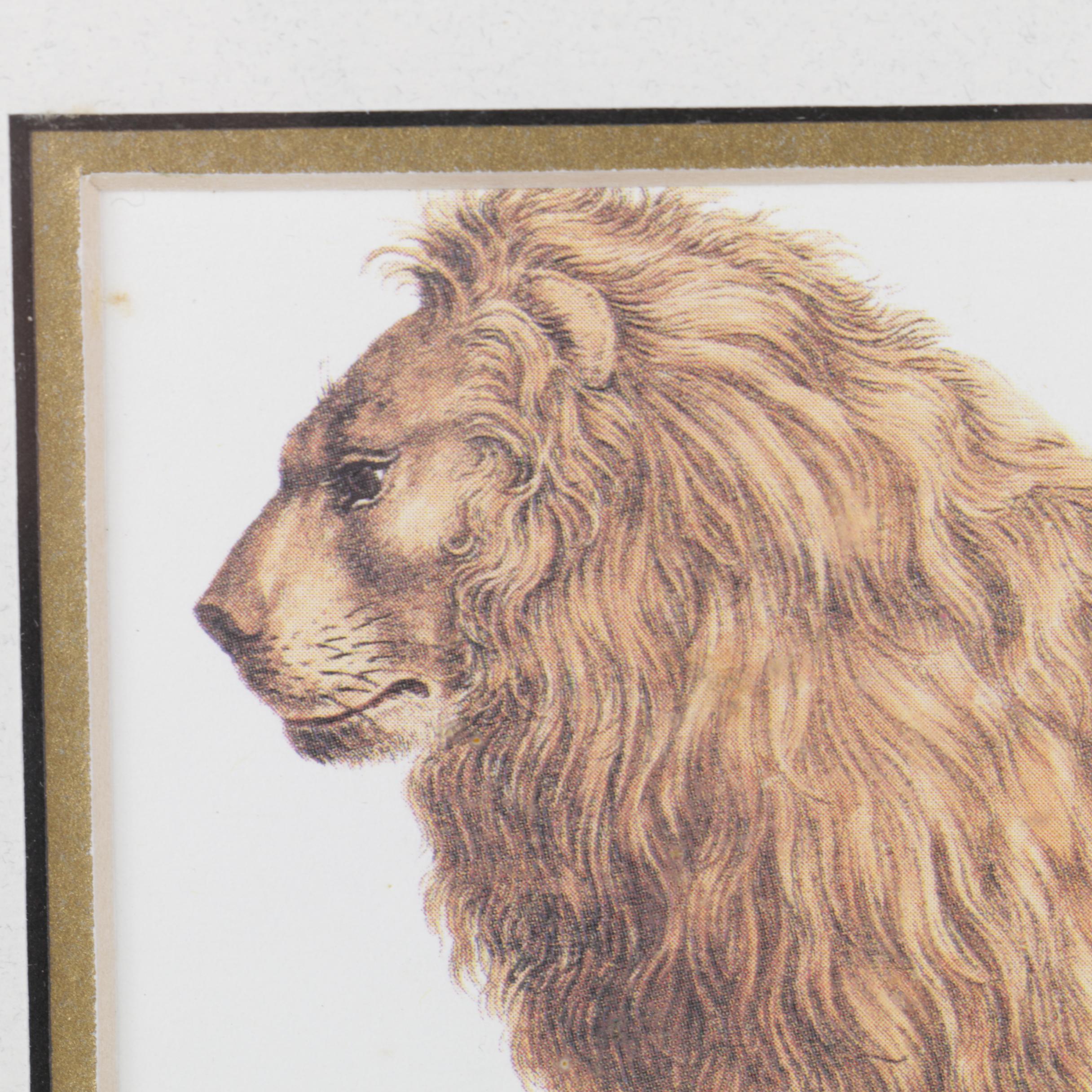 Reproduction Print After Karl Joseph Brodtmann of a Lion