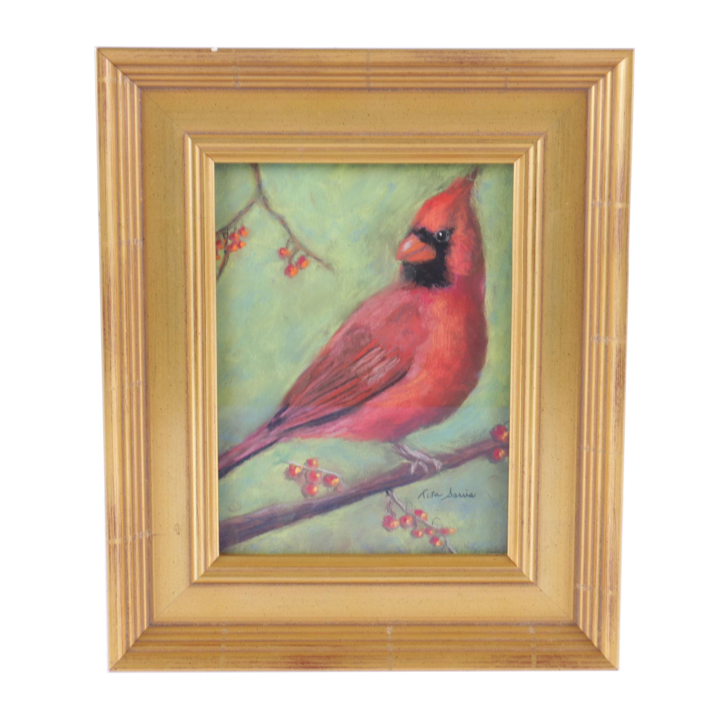 Rita Sarris Pastel Drawing on Paper of a Cardinal