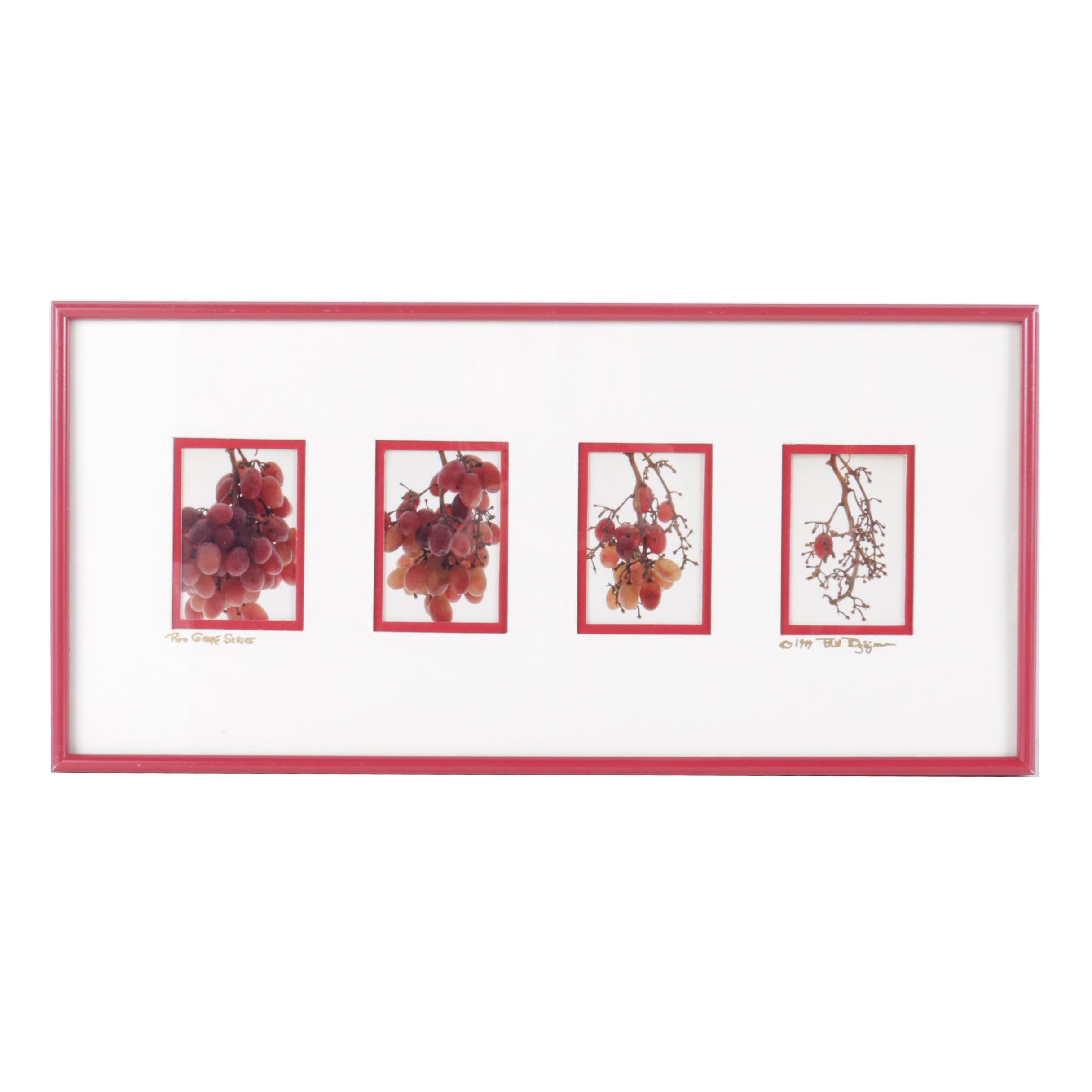 Bill Dziejman Color Photographs "Red Grape Series"